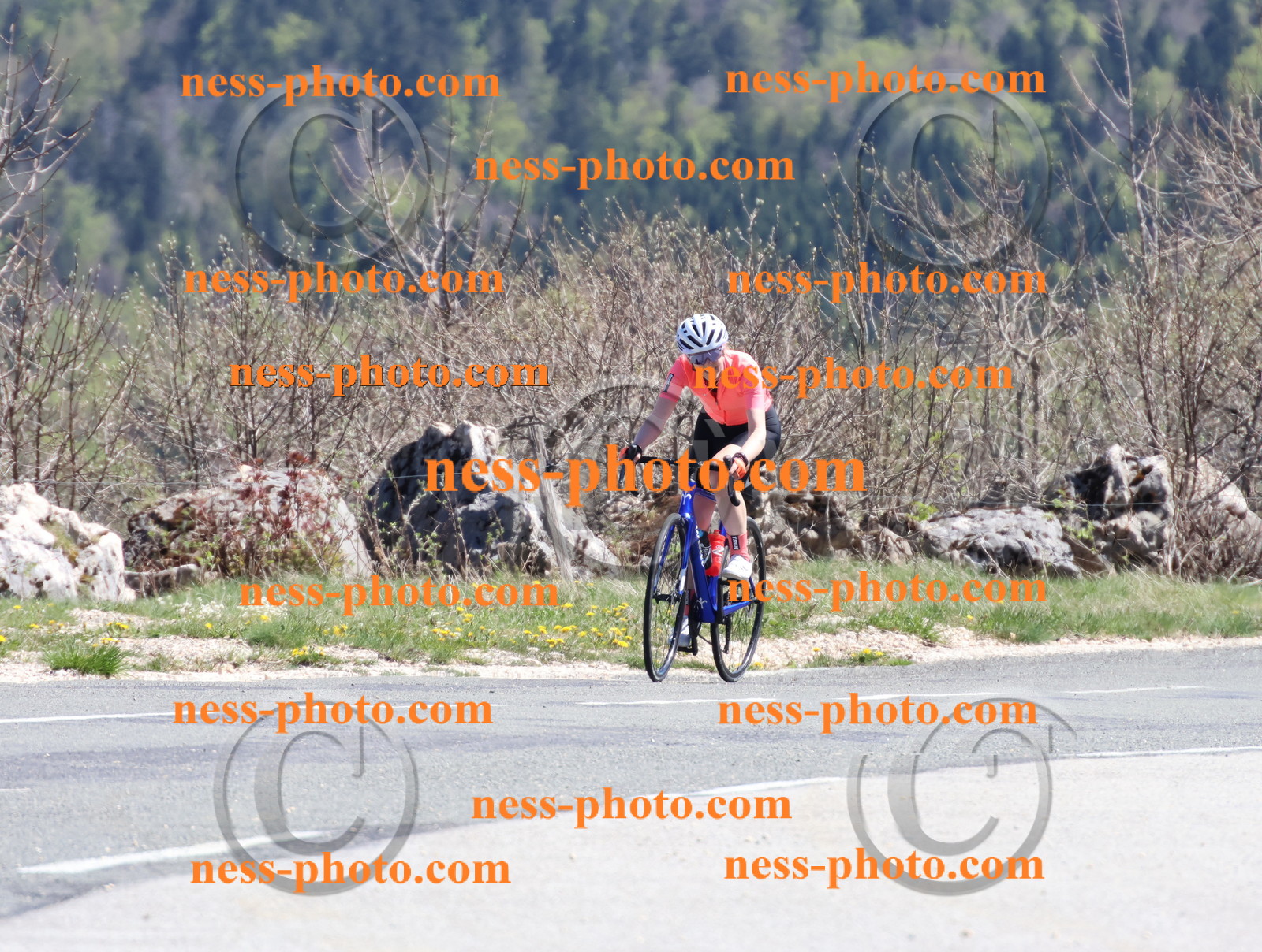 Col du Grand Colombier (938).JPG