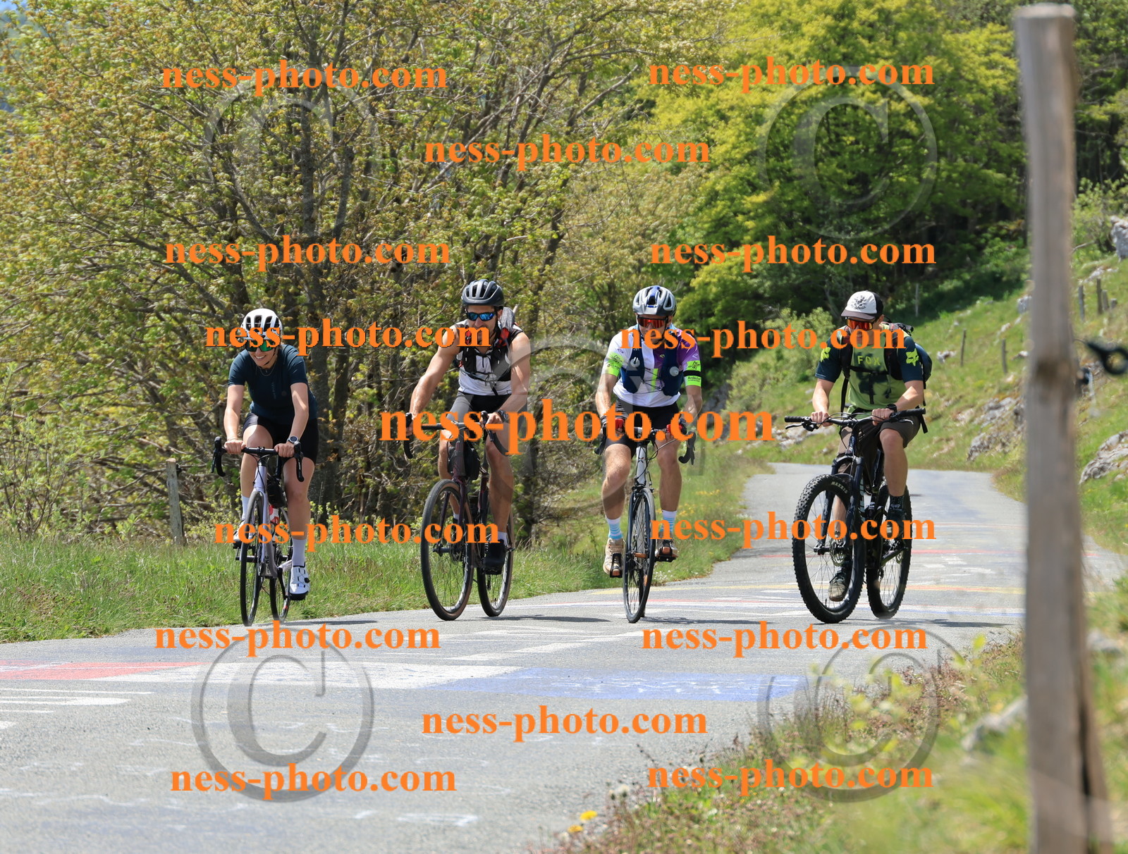 Col du Grand Colombier (275).JPG