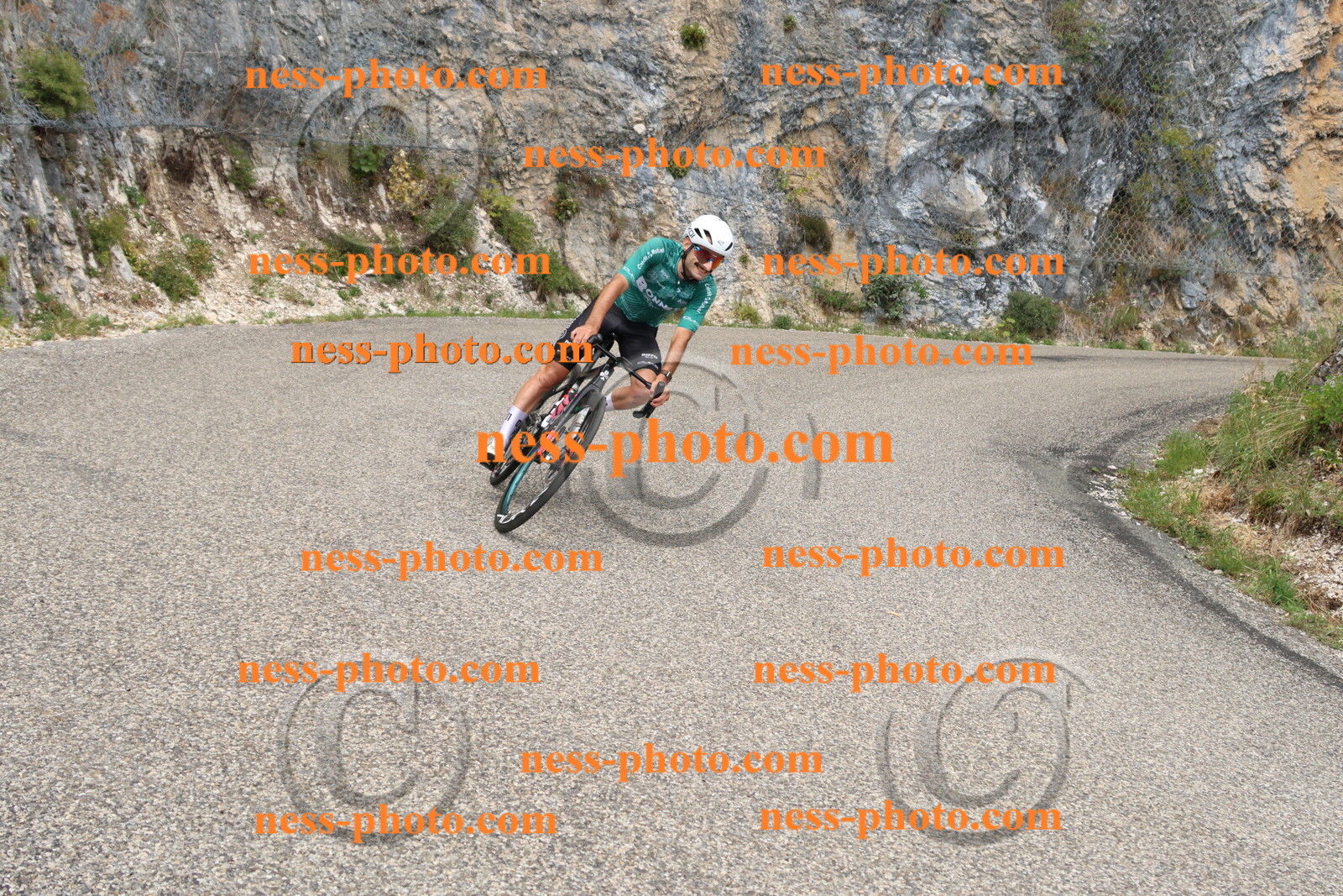 Col du Grand Colombier (348).JPG