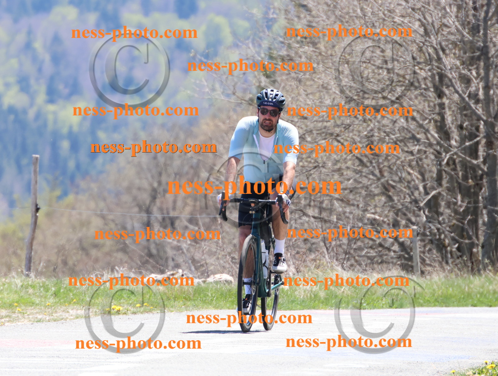 Col du Grand Colombier (774).JPG