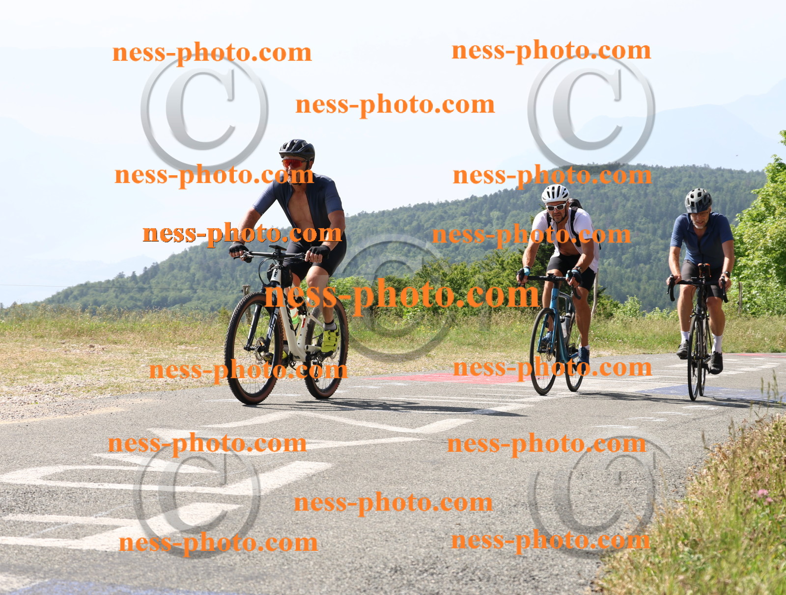 Col du grand Colombier (736).JPG