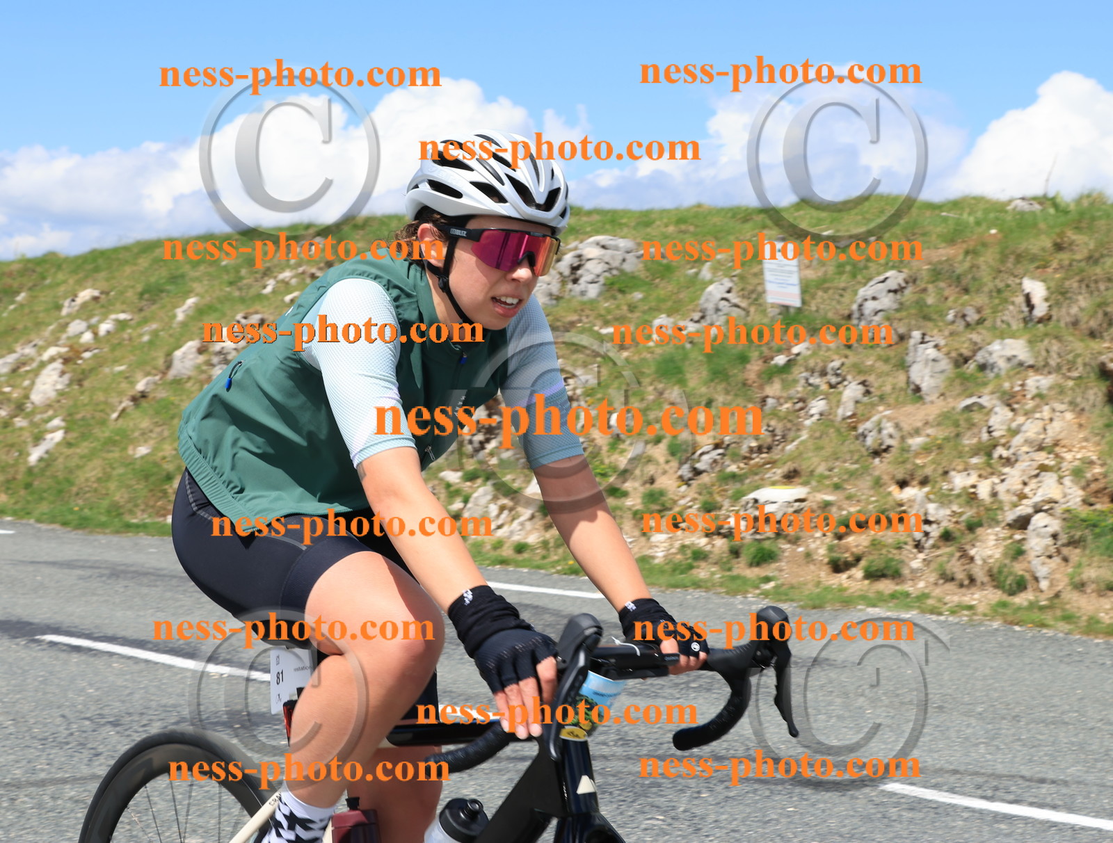 Col du Grand Colombier (2387).JPG