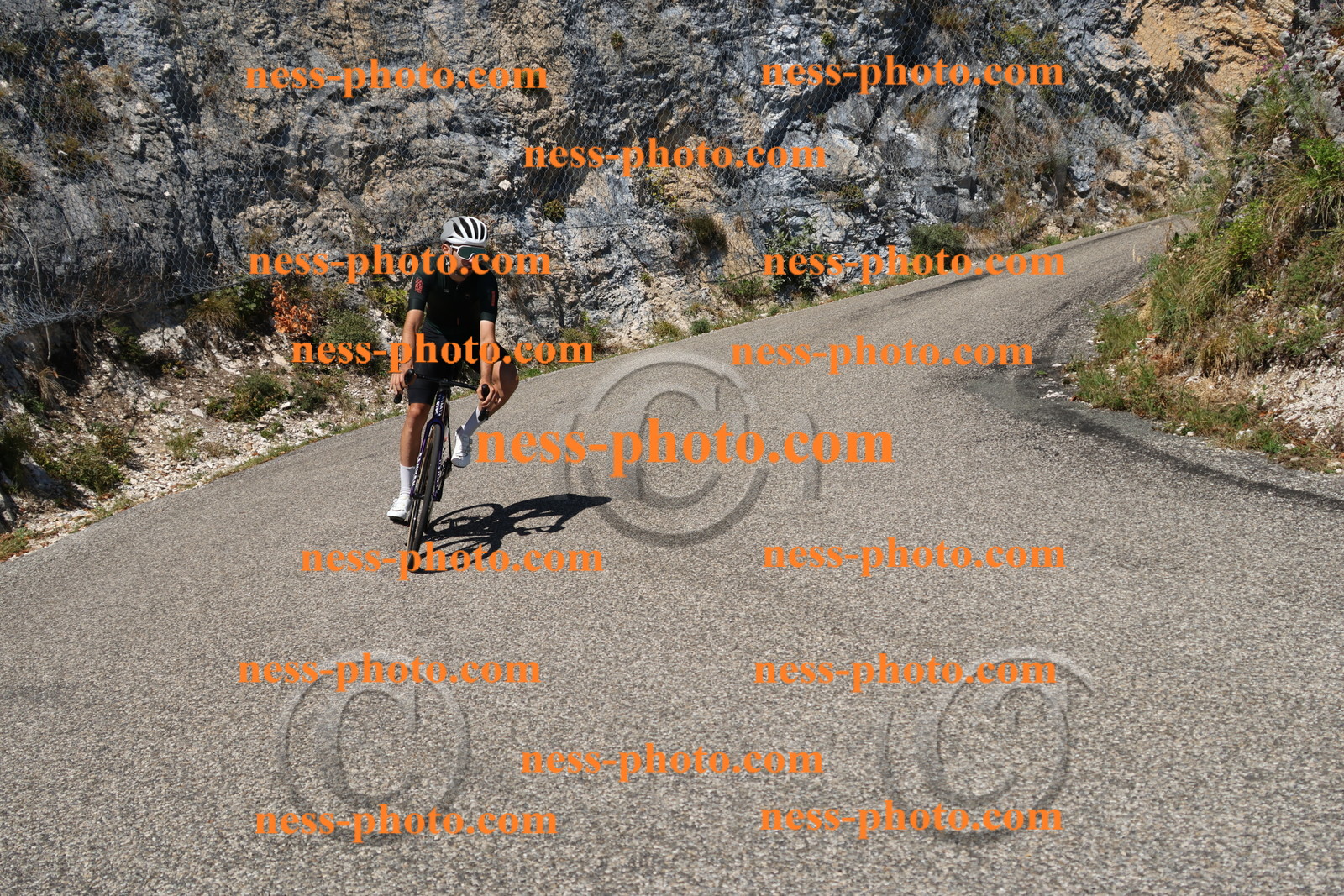 Col du Grand Colombier (477).JPG