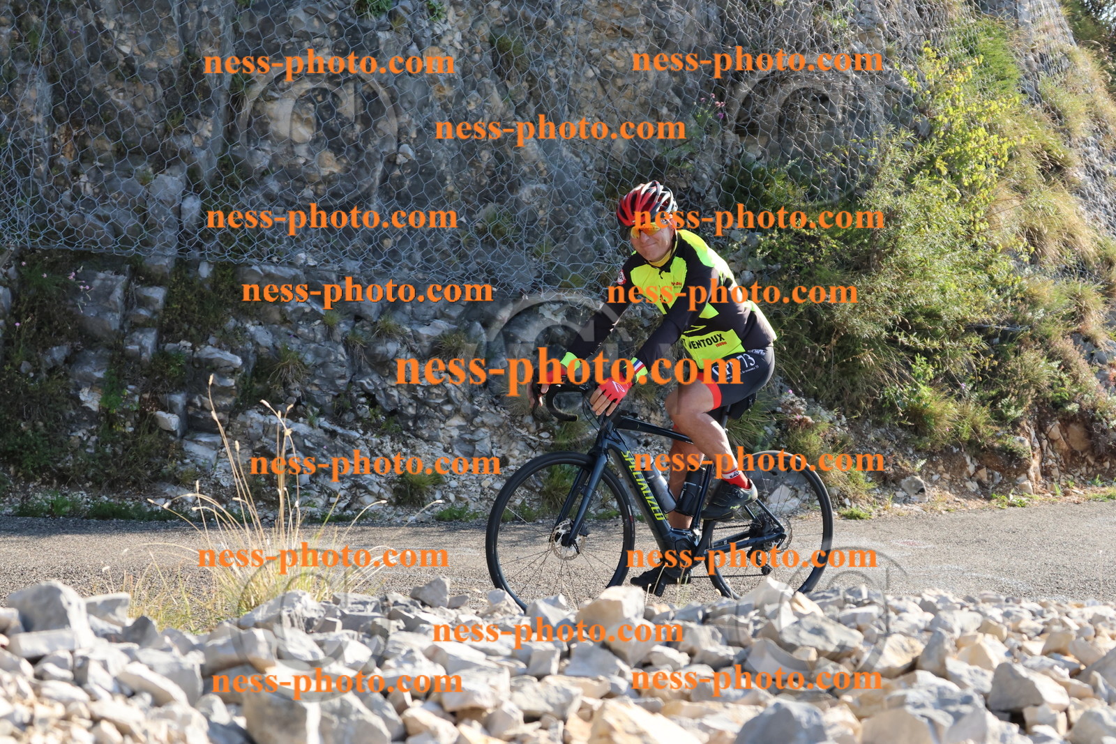 Col du Grand Colombier (39).JPG