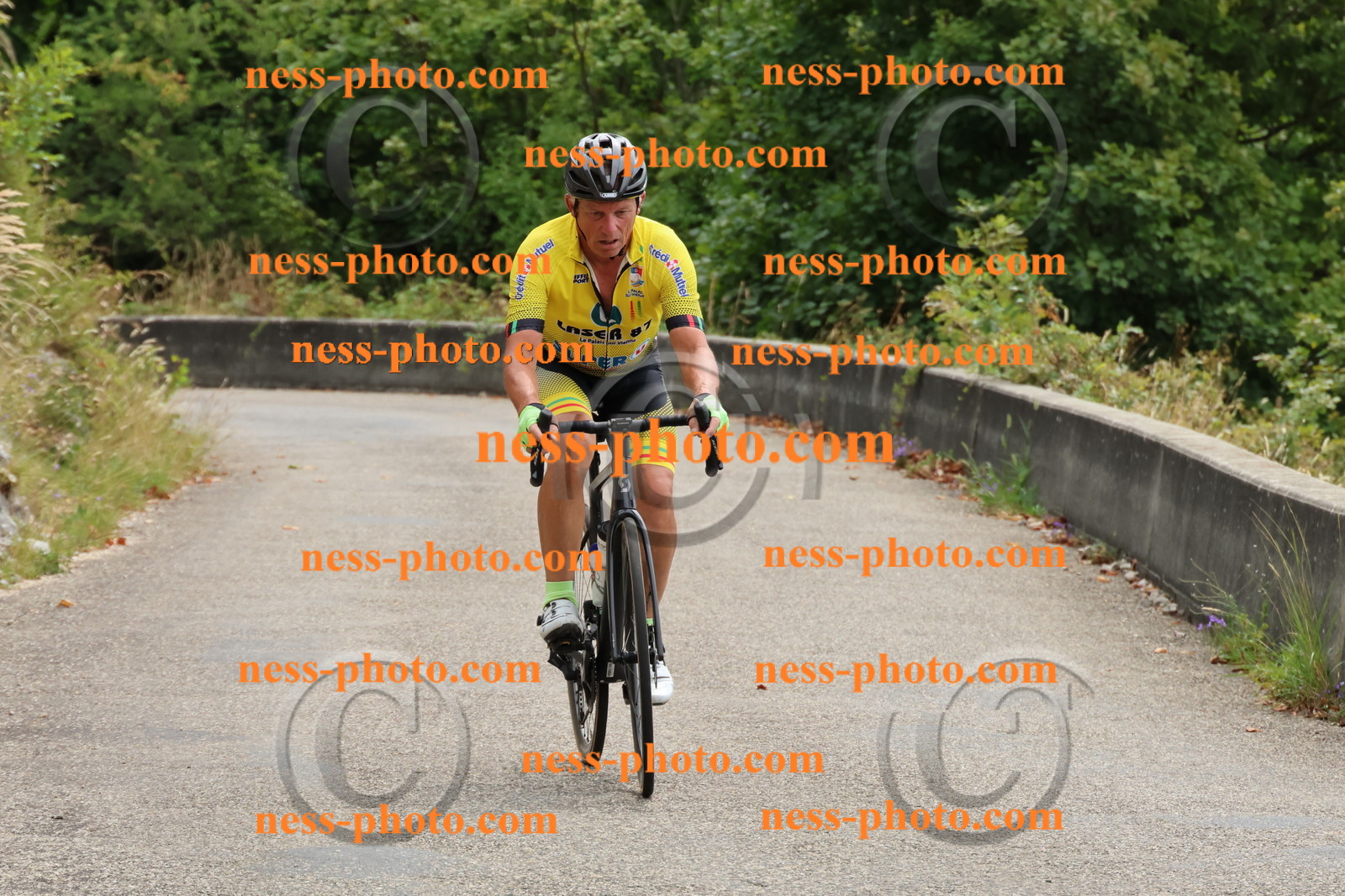 Col du Grand Colombier (197).JPG