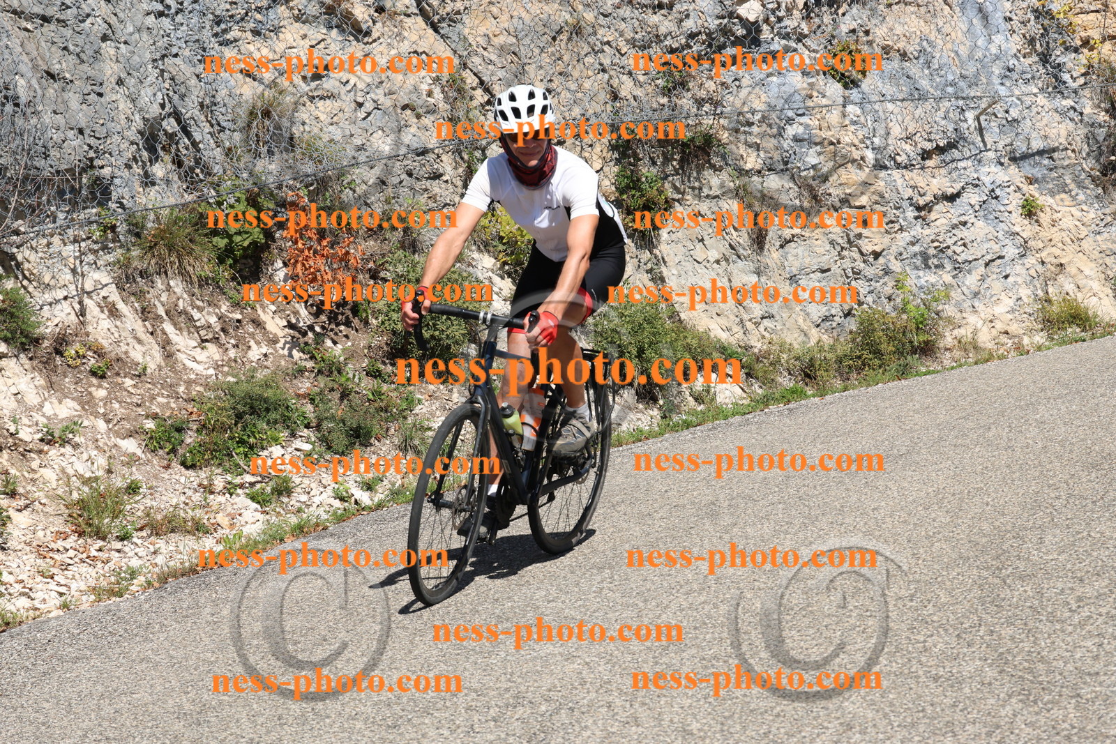 Col du Grand Colombier (506).JPG