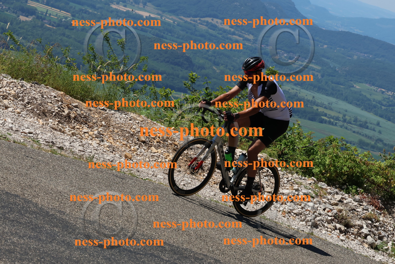 Col du Grand Colombier (493).JPG