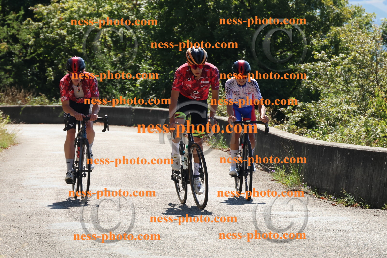 Col du Grand Colombier (103).JPG