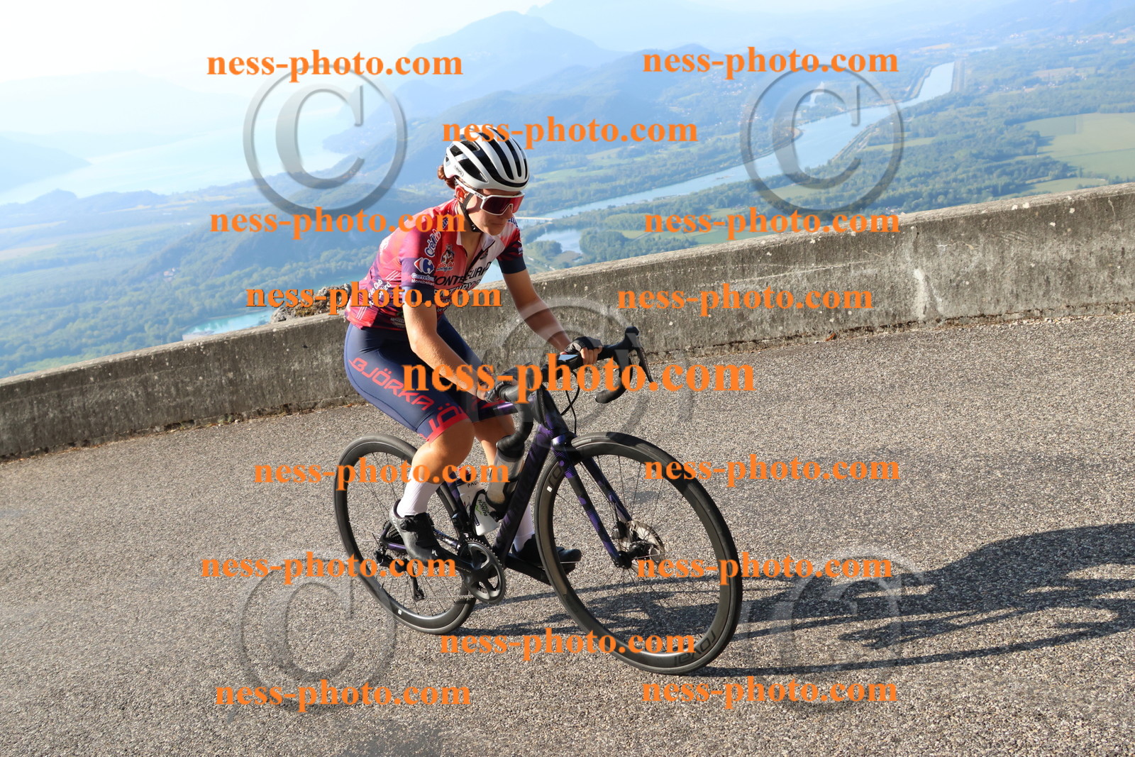 Col du Grand Colombier (625).JPG