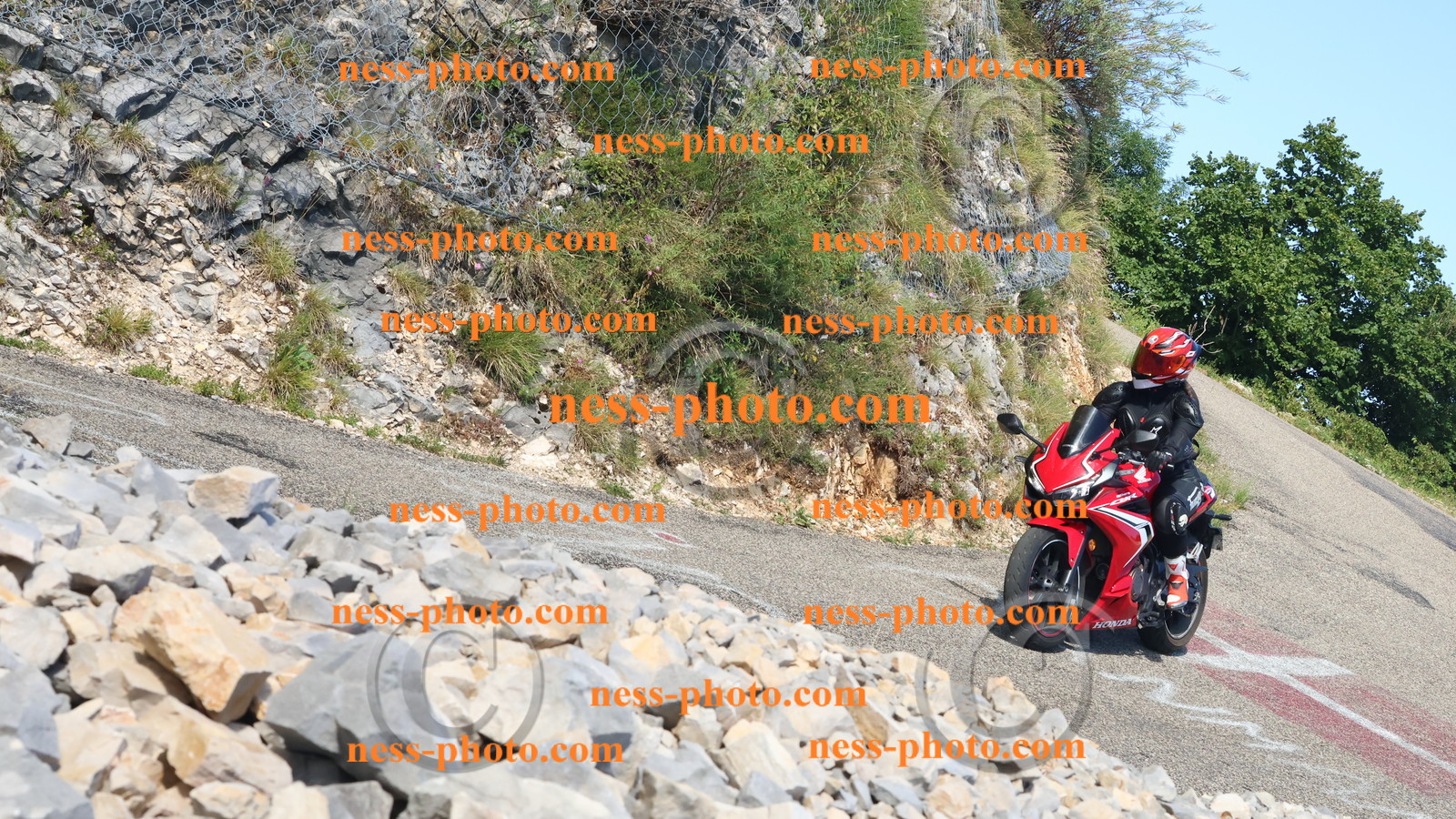 Col du Grand Colombier (263).JPG