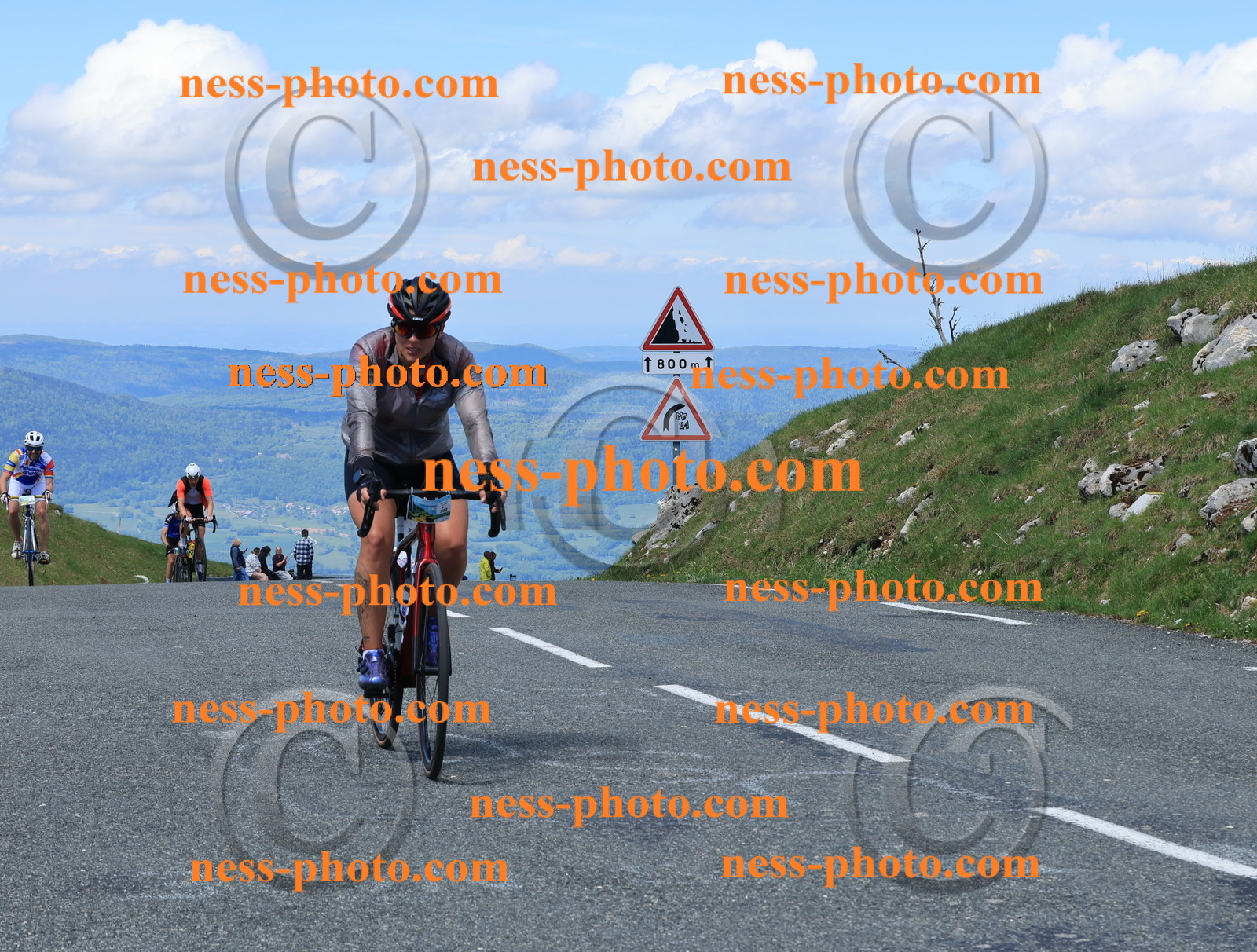 Col du Grand Colombier (1530).JPG