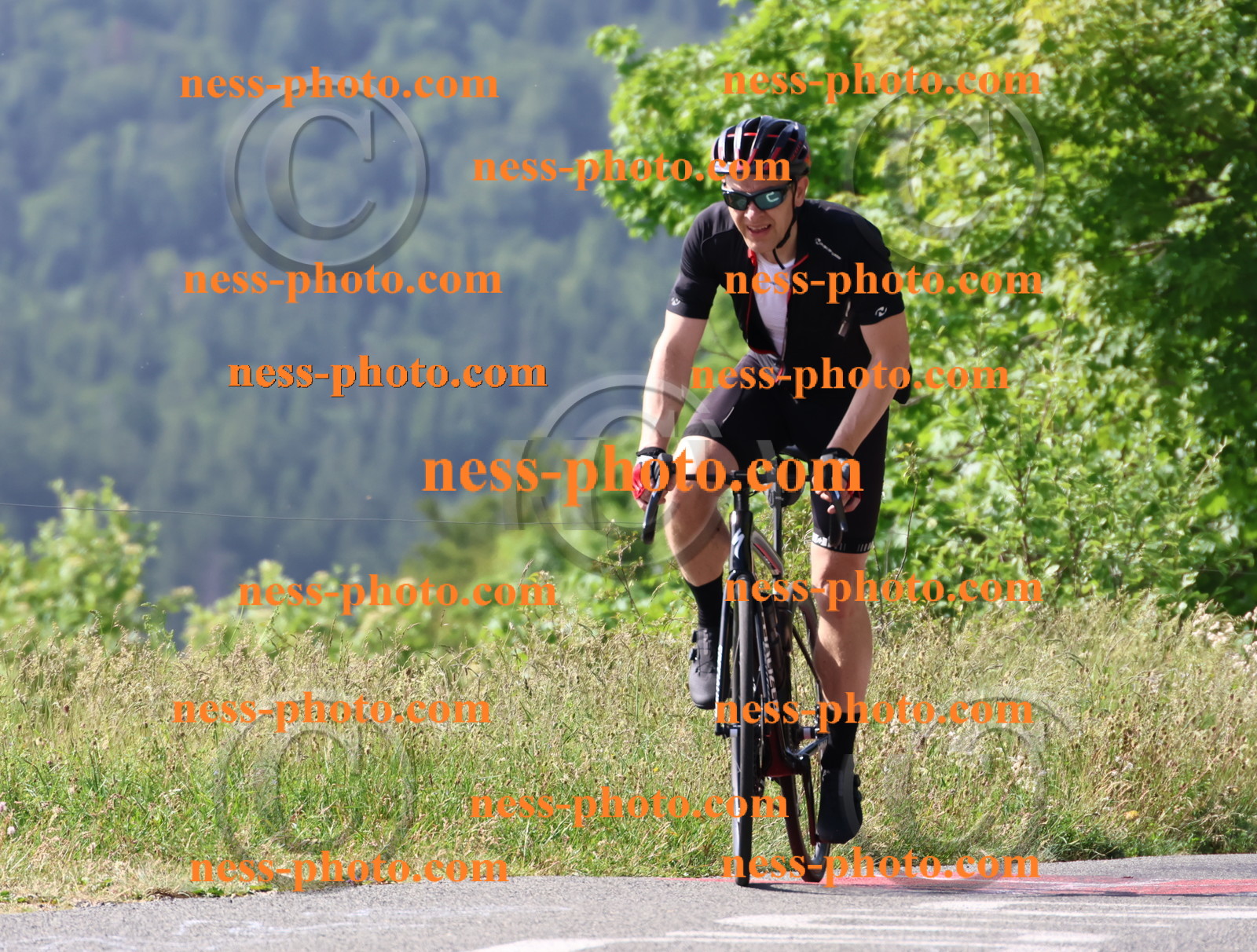 Col du grand Colombier (318).JPG