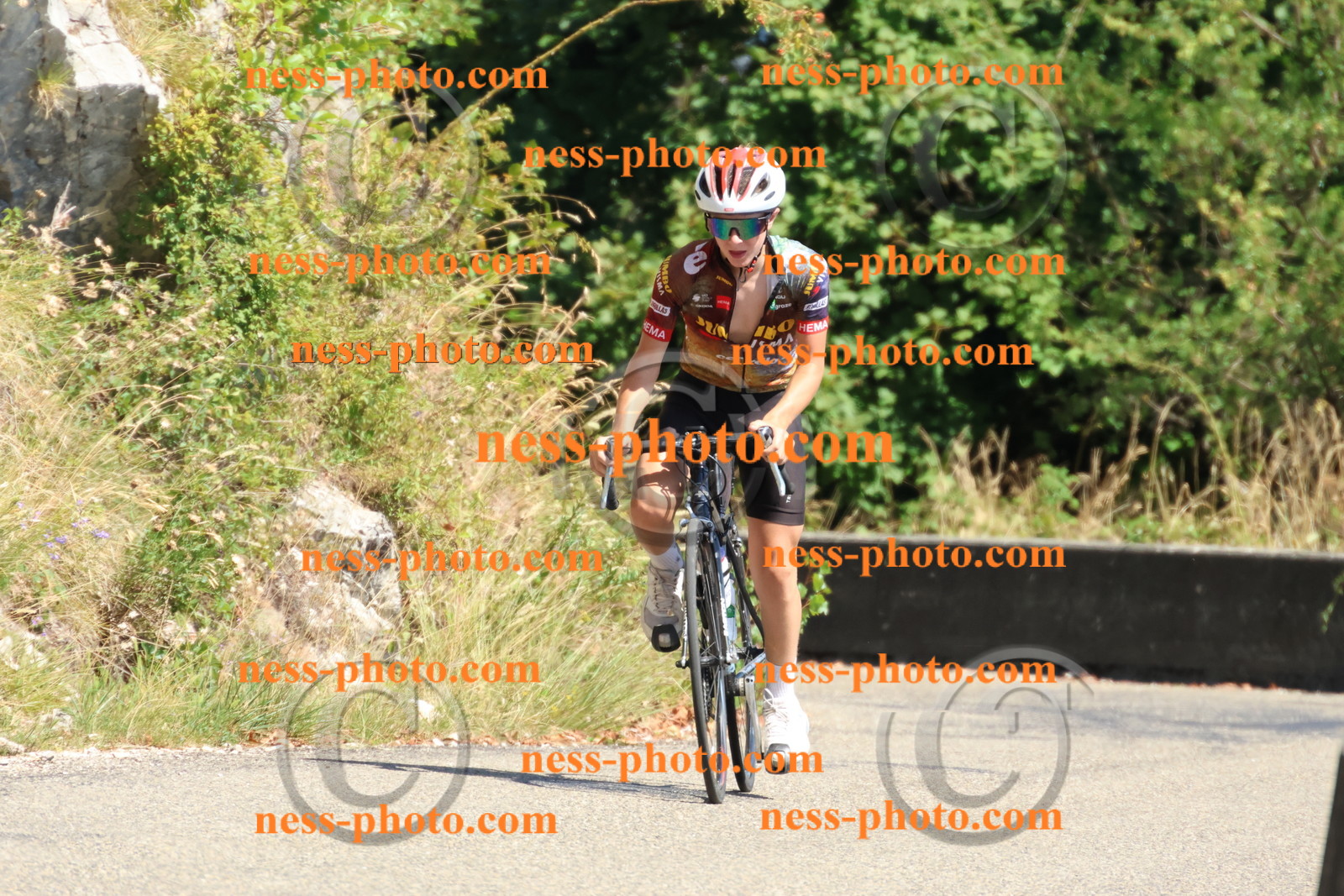 Col du Grand Colombier (620).JPG