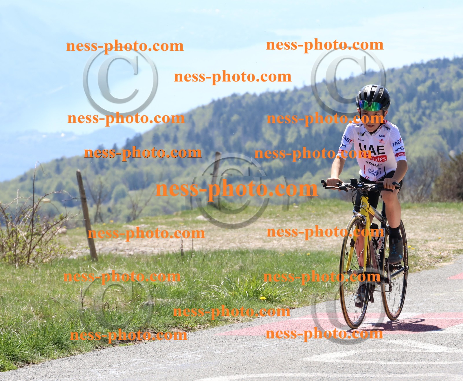 Col du Grand Colombier (325).JPG