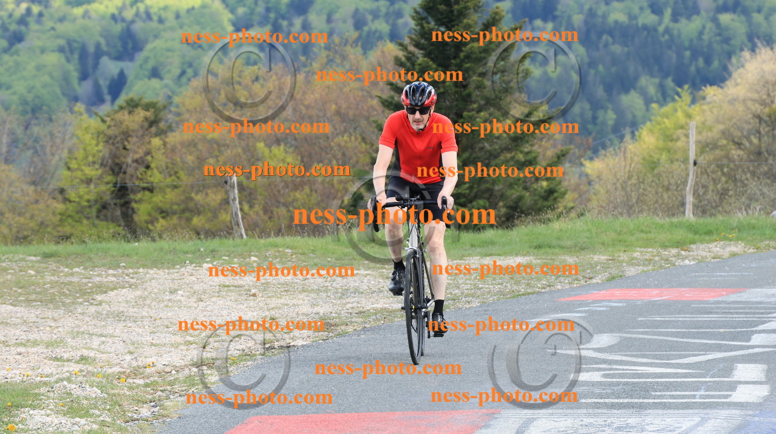 Col du Grand Colombier (3242).JPG