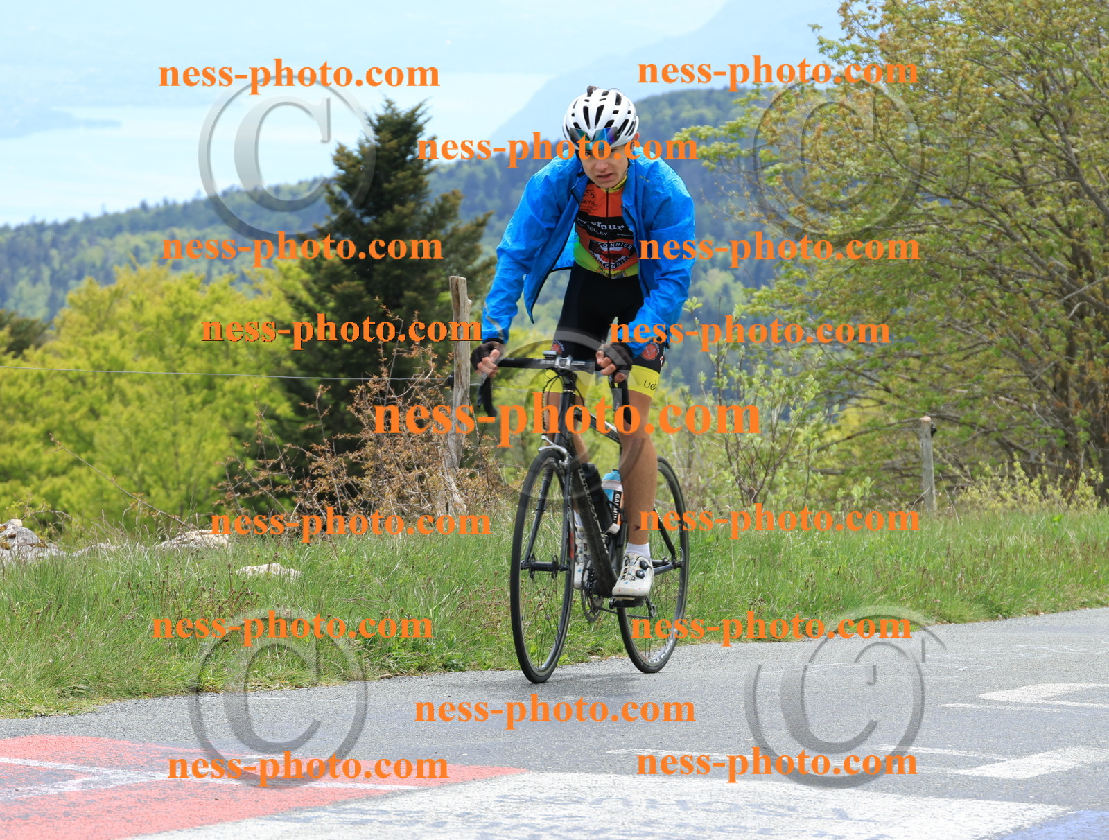 Col du Grand Colombier (490).JPG