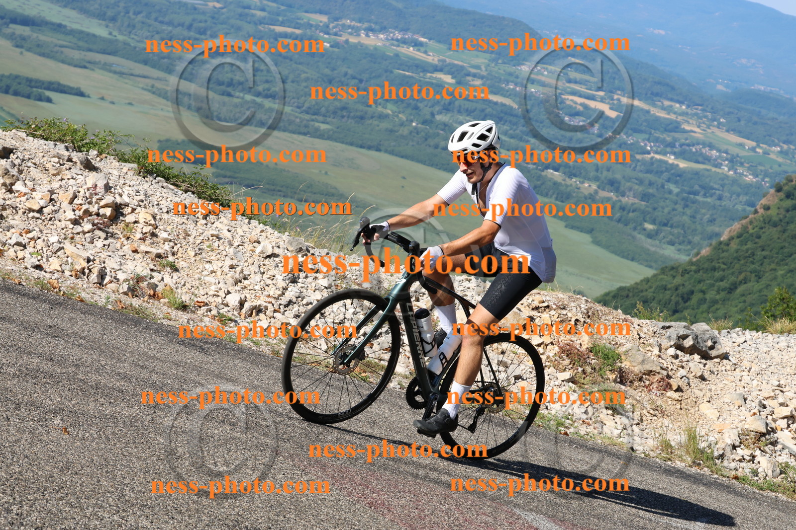 Col du Grand Colombier (1264).JPG