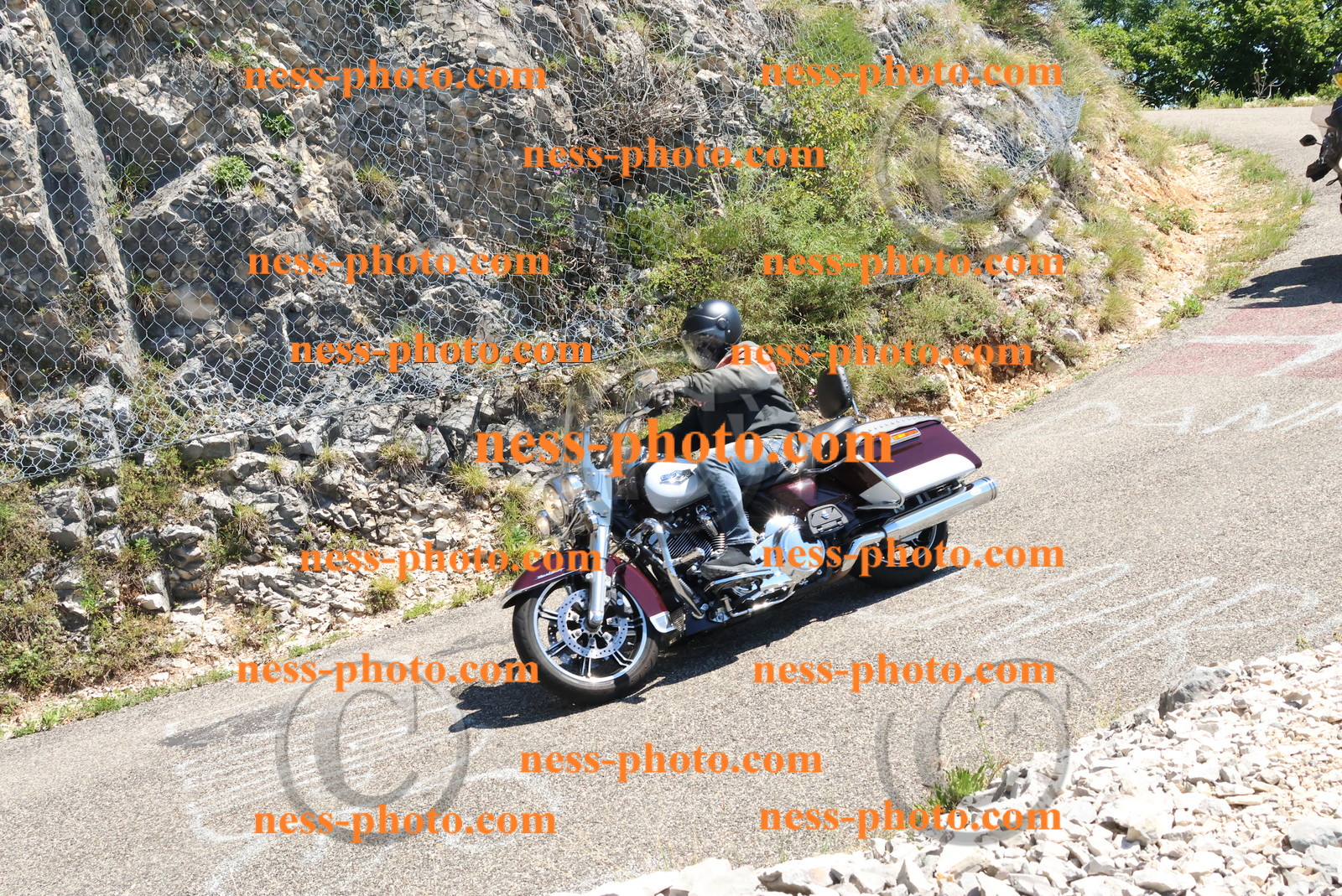 Col du Grand Colombier (246).JPG