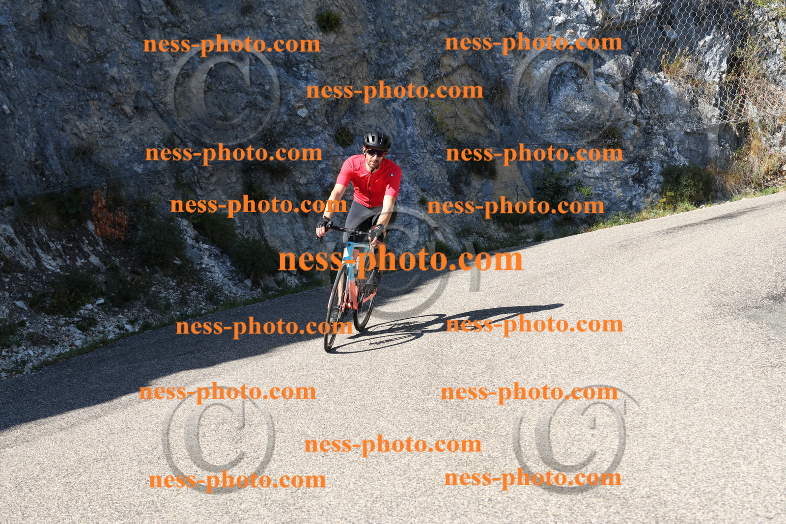 Col du Grand Colombier (496).JPG