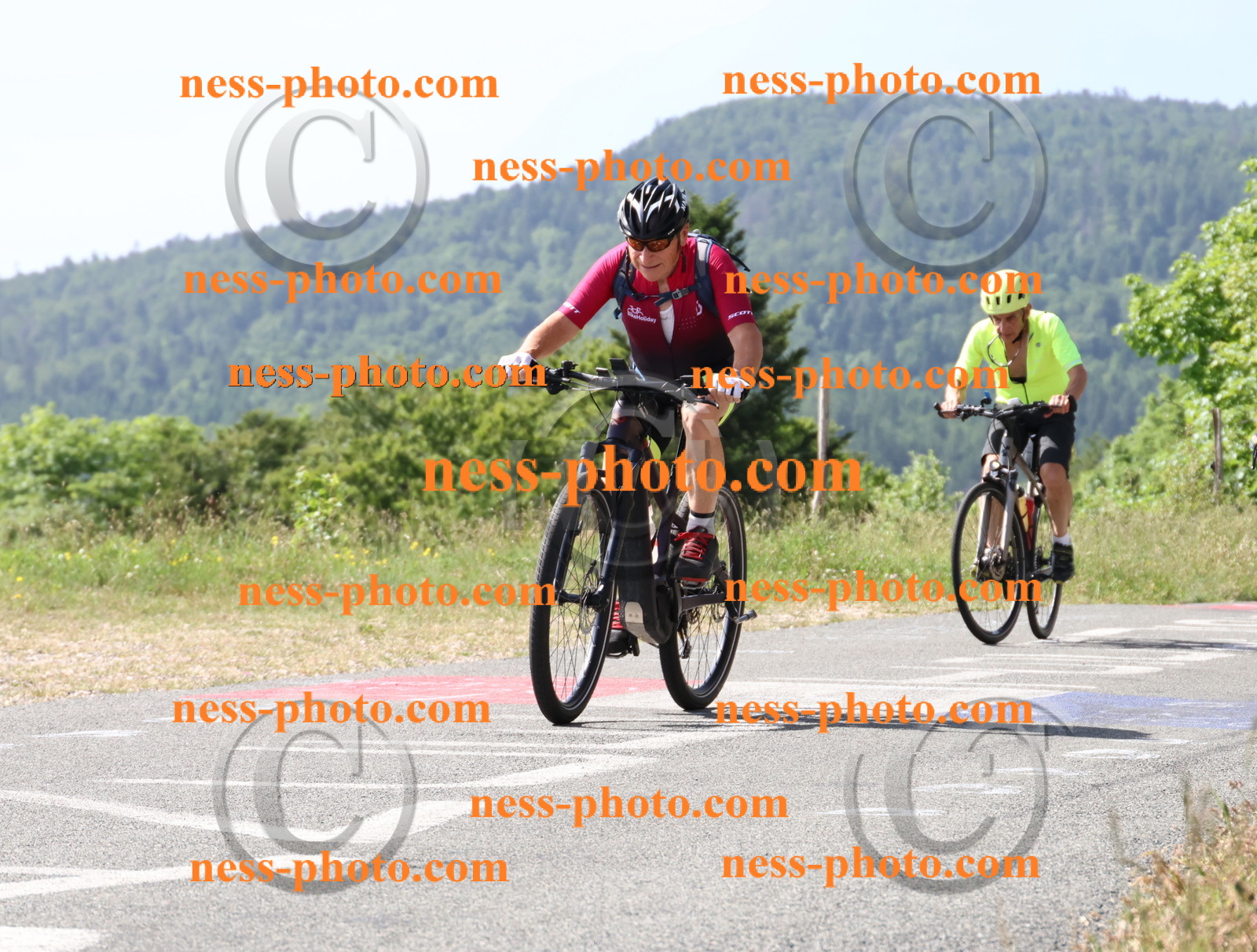 Col du grand Colombier (709).JPG