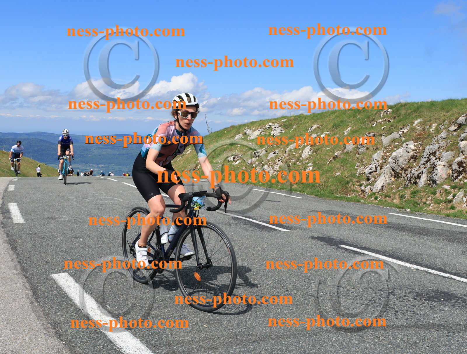 Col du Grand Colombier (1138).JPG