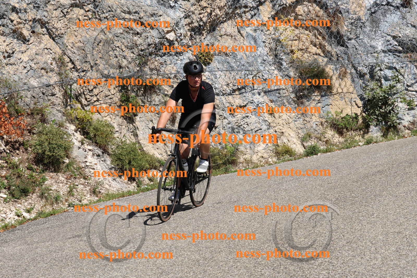 Col du Grand Colombier (423).JPG