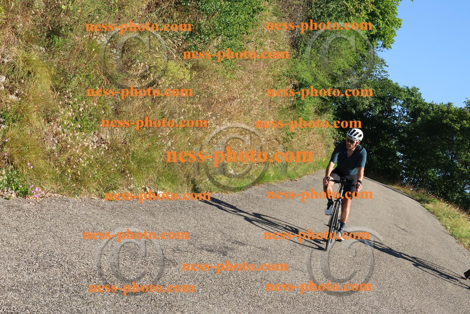 Col du Grand Colombier (104).JPG