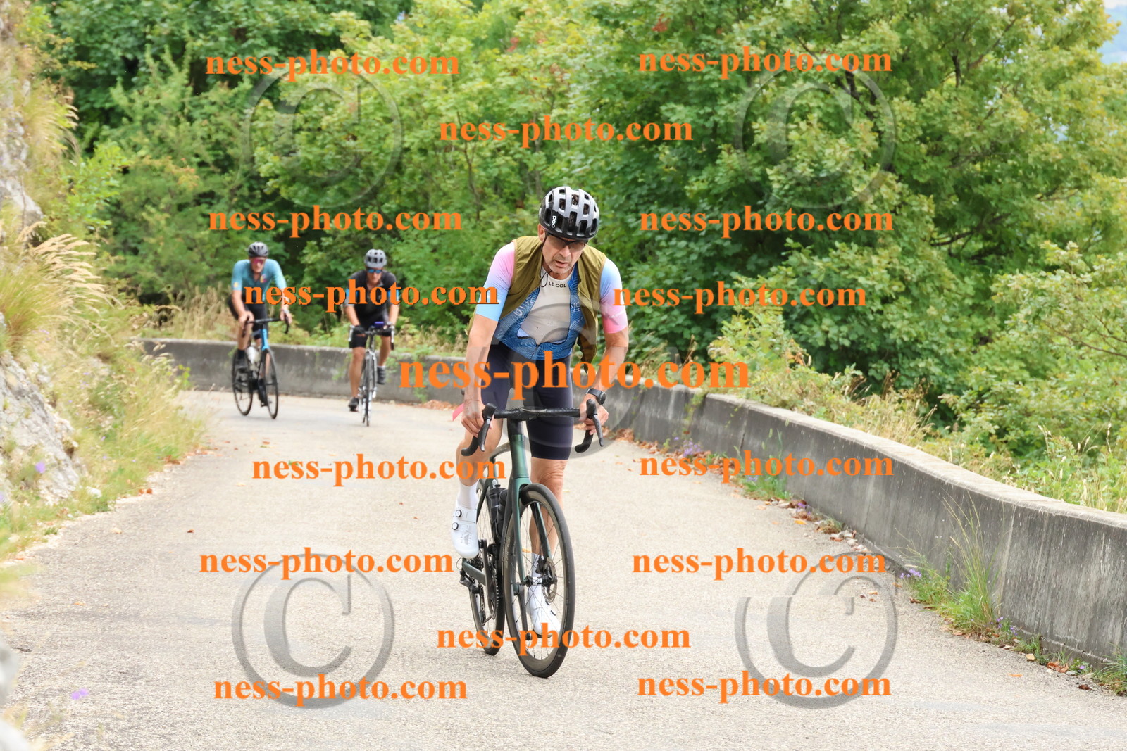 Col du Grand Colombier (84).JPG