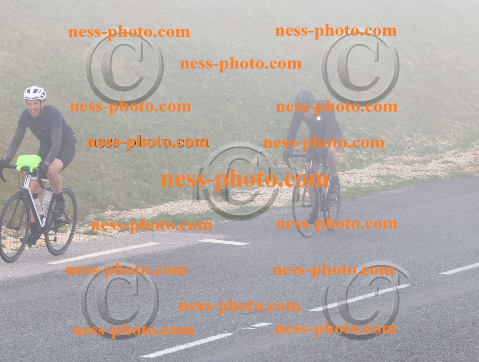 Col du Grand Colombier (367).JPG