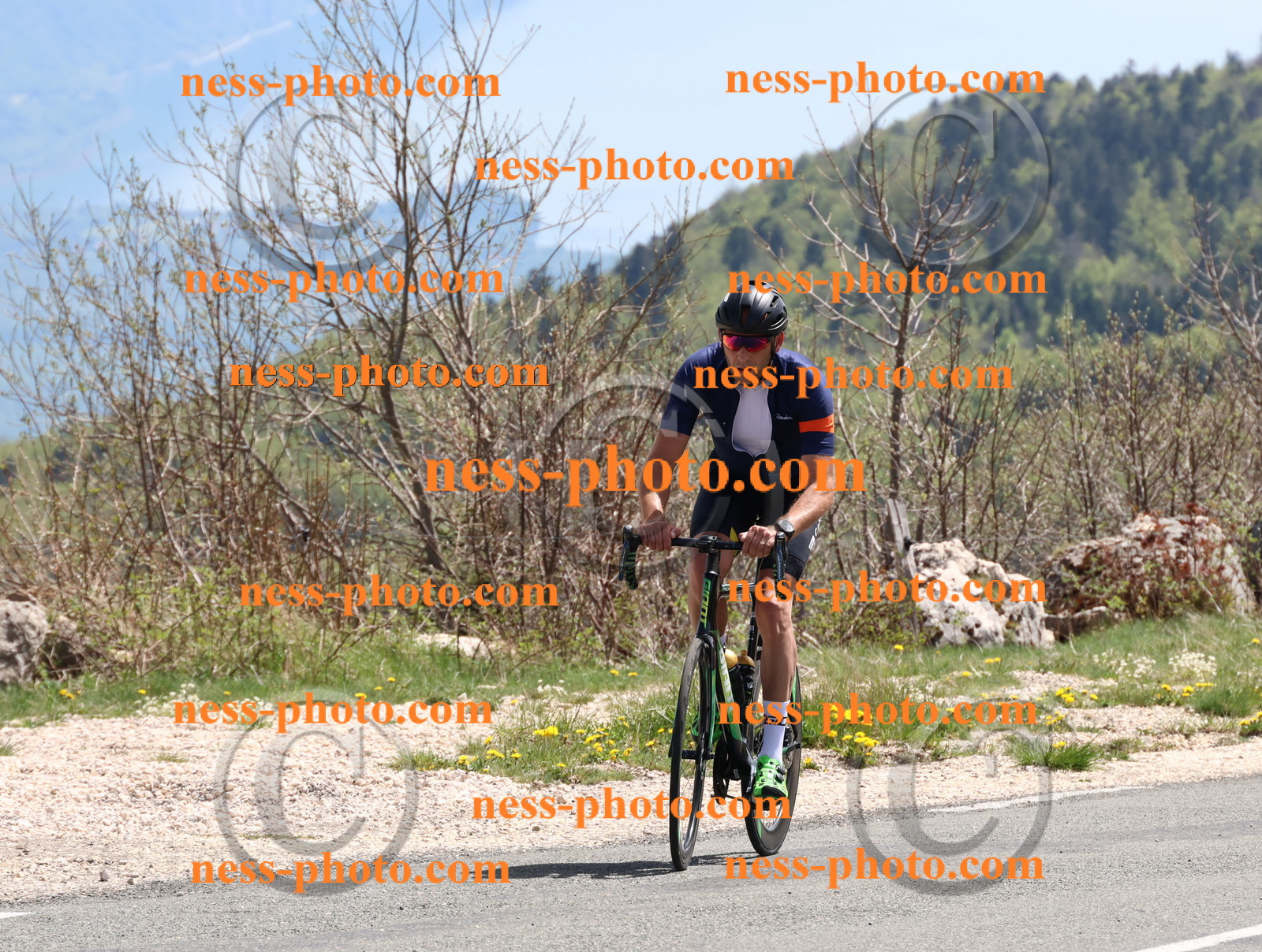 Col du Grand Colombier (813).JPG