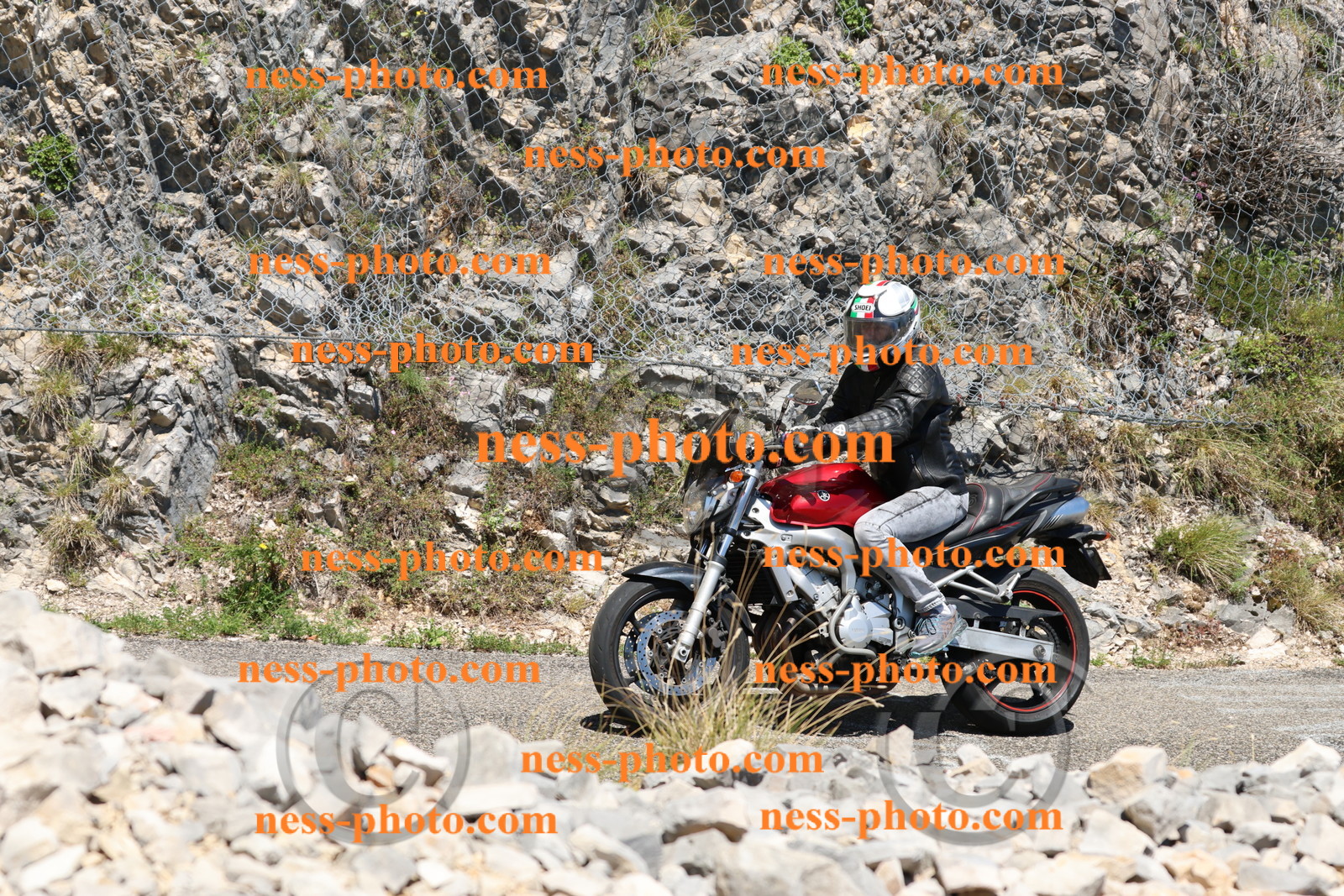 Col du Grand Colombier (285).JPG