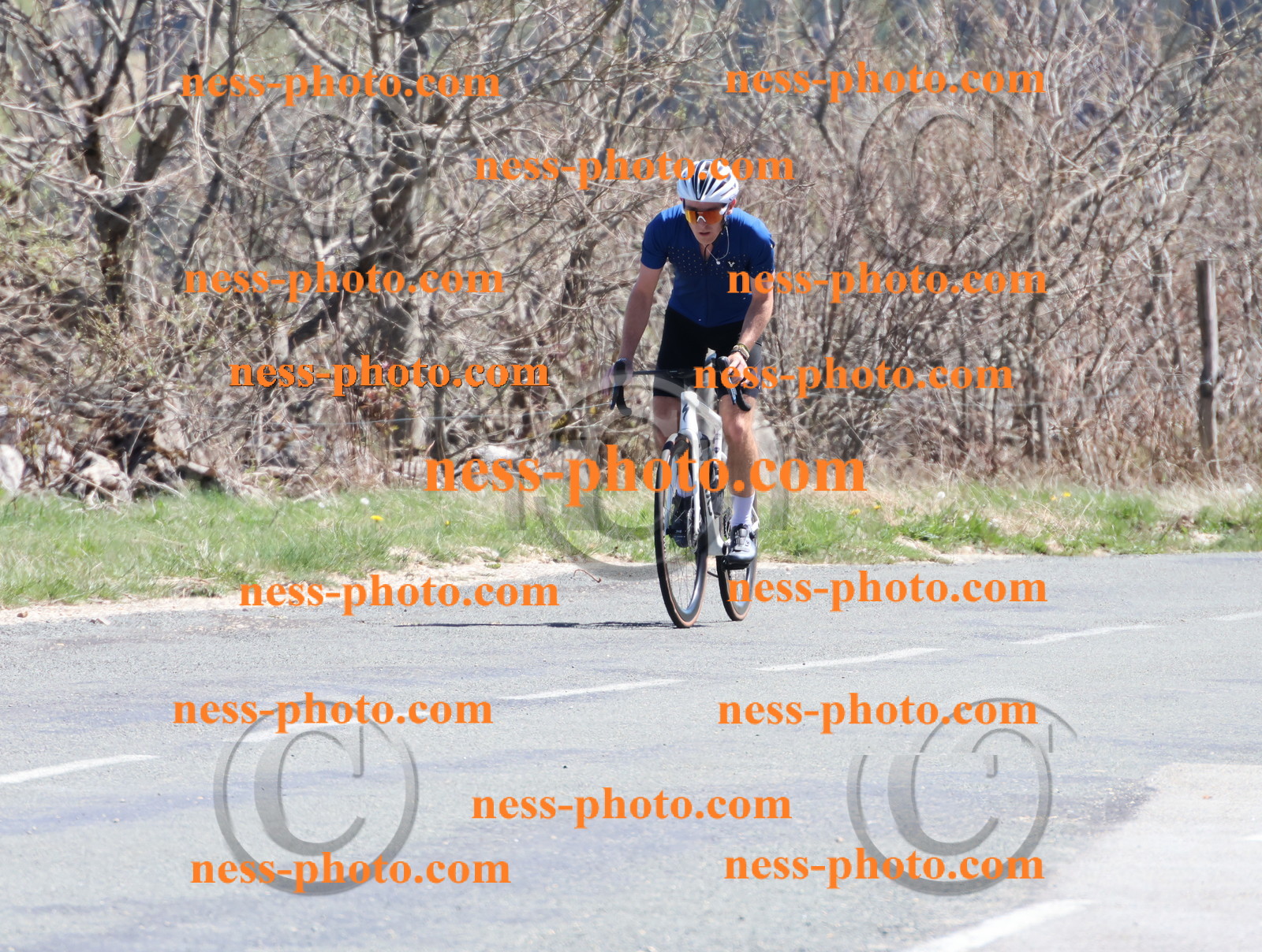 Col du Grand Colombier (905).JPG