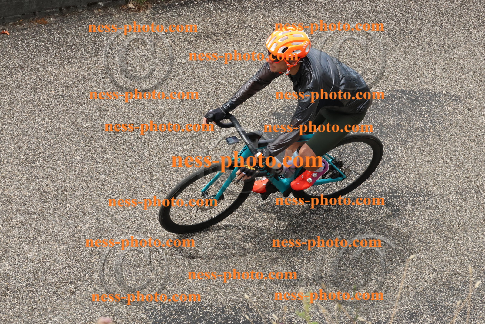 Col du Grand Colombier (122).JPG