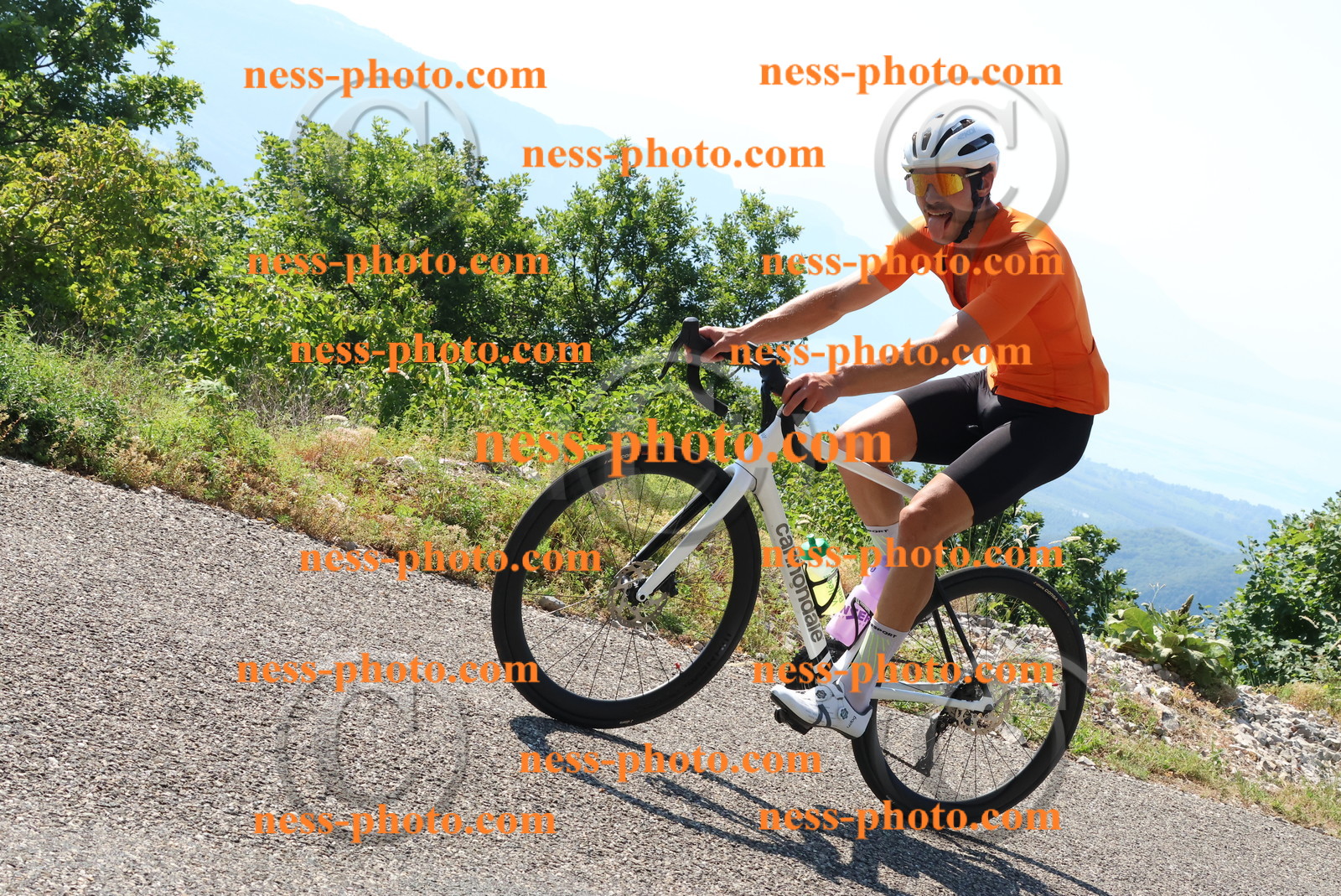 Col du Grand Colombier (224).JPG