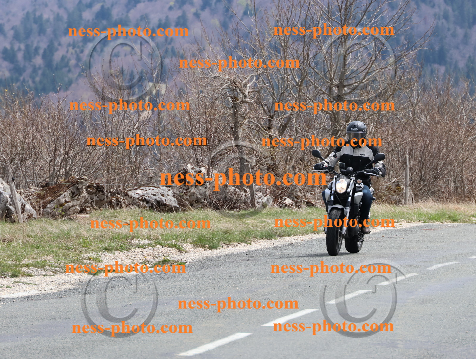 Col  du Grand Colombier (59).JPG