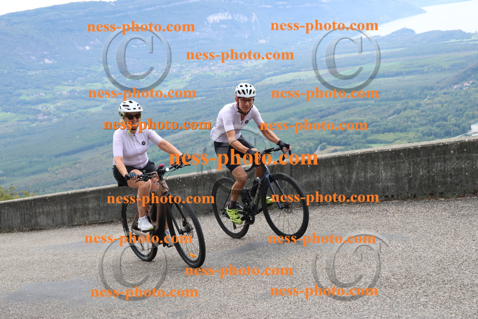 Col du Grand Colombier (496).JPG