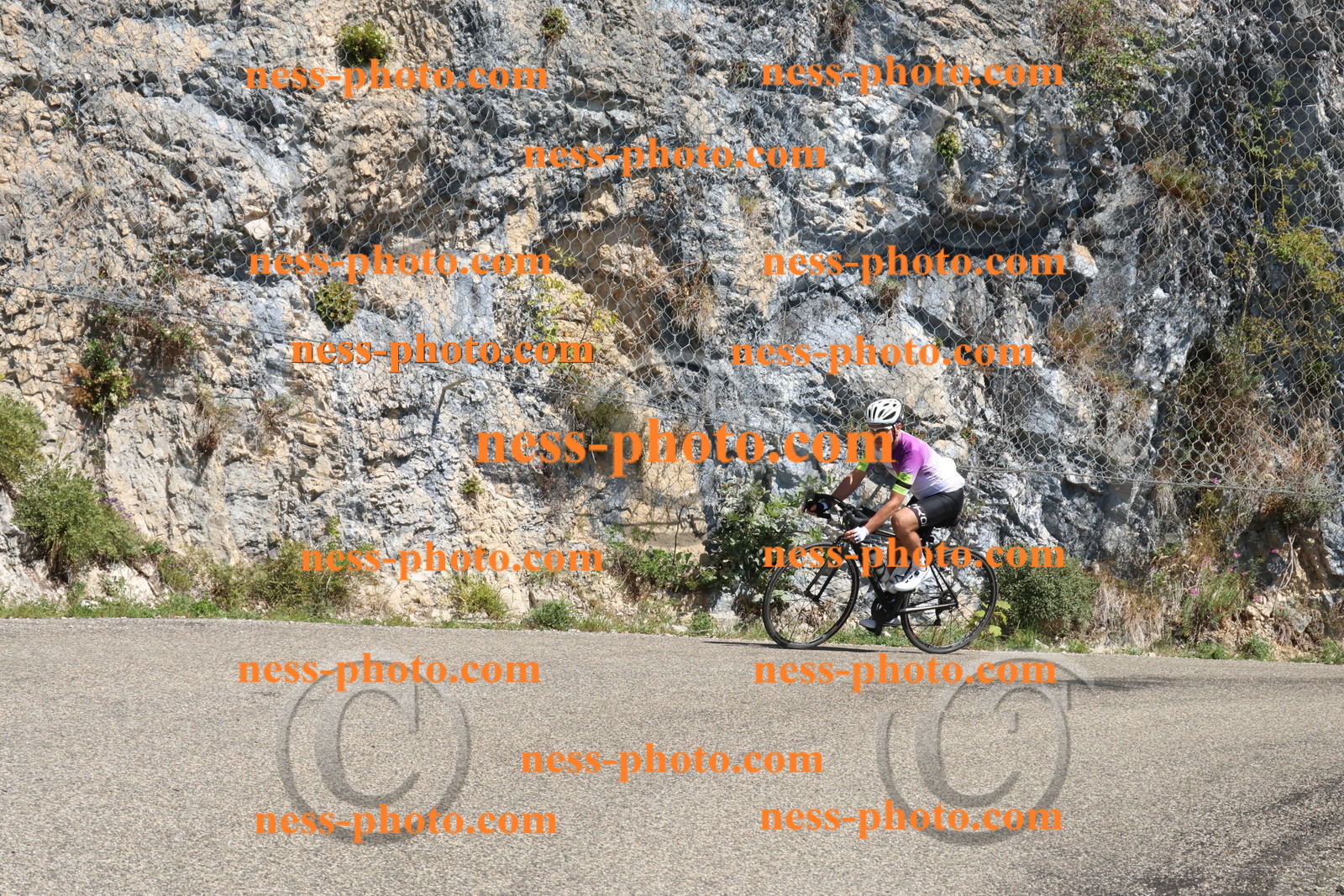 Col du Grand Colombier (226).JPG