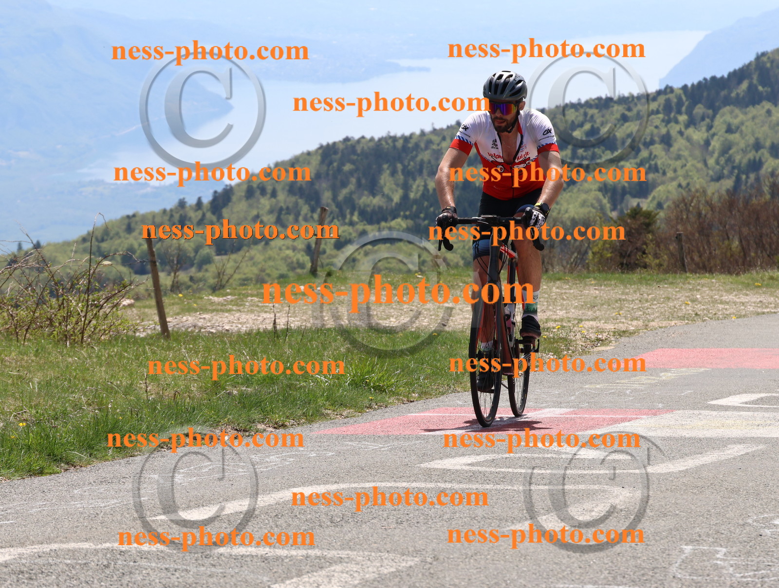 Col du Grand Colombier (385).JPG