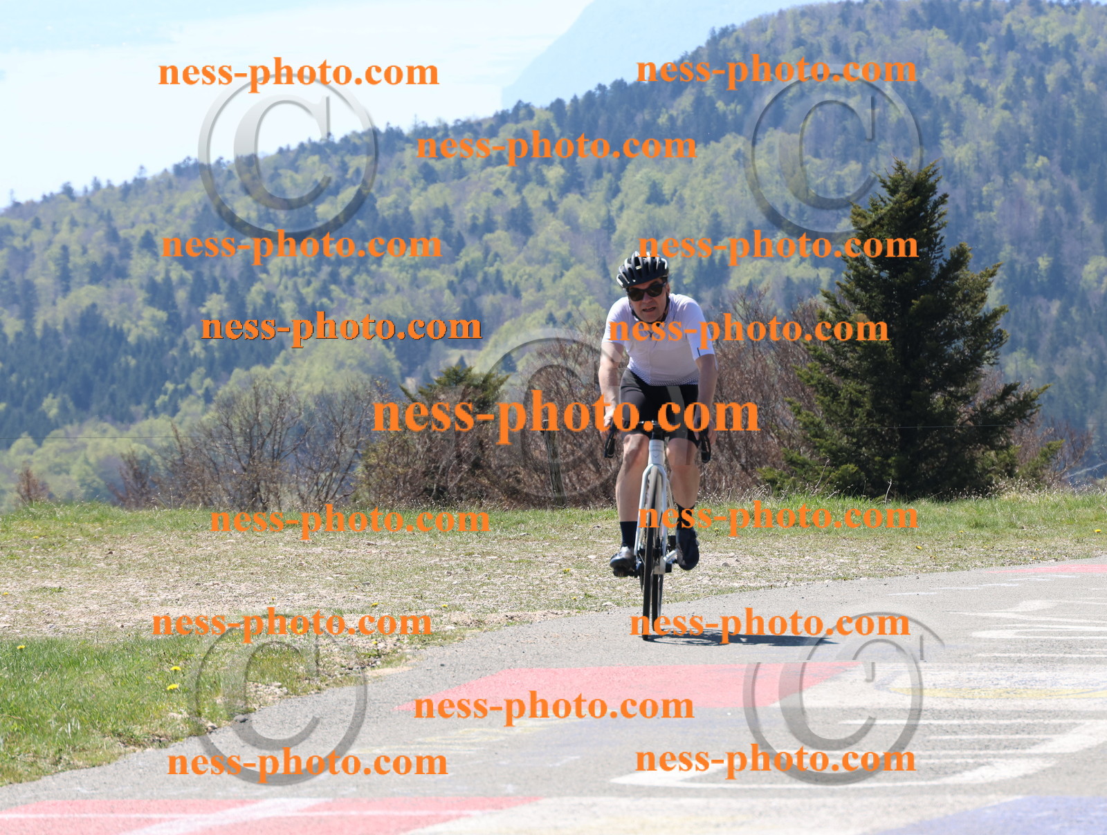 Col du Grand Colombier (204).JPG