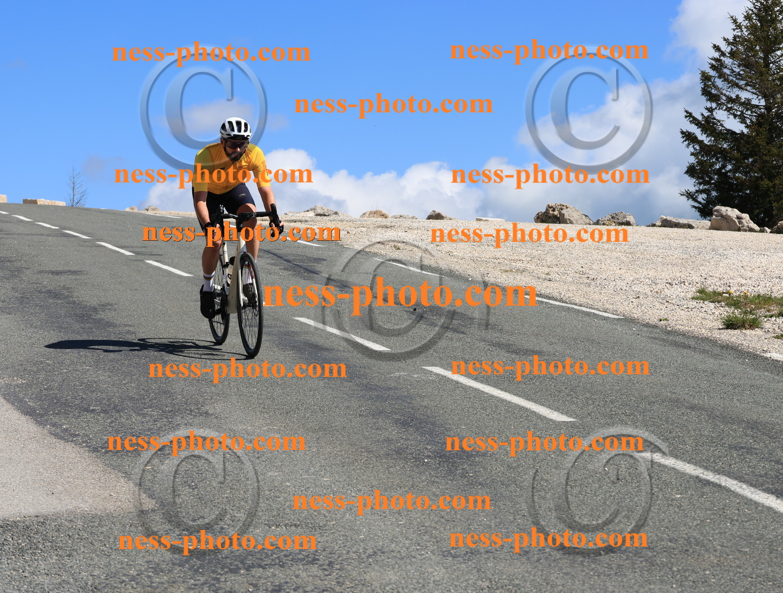 Col du Grand Colombier (37).JPG