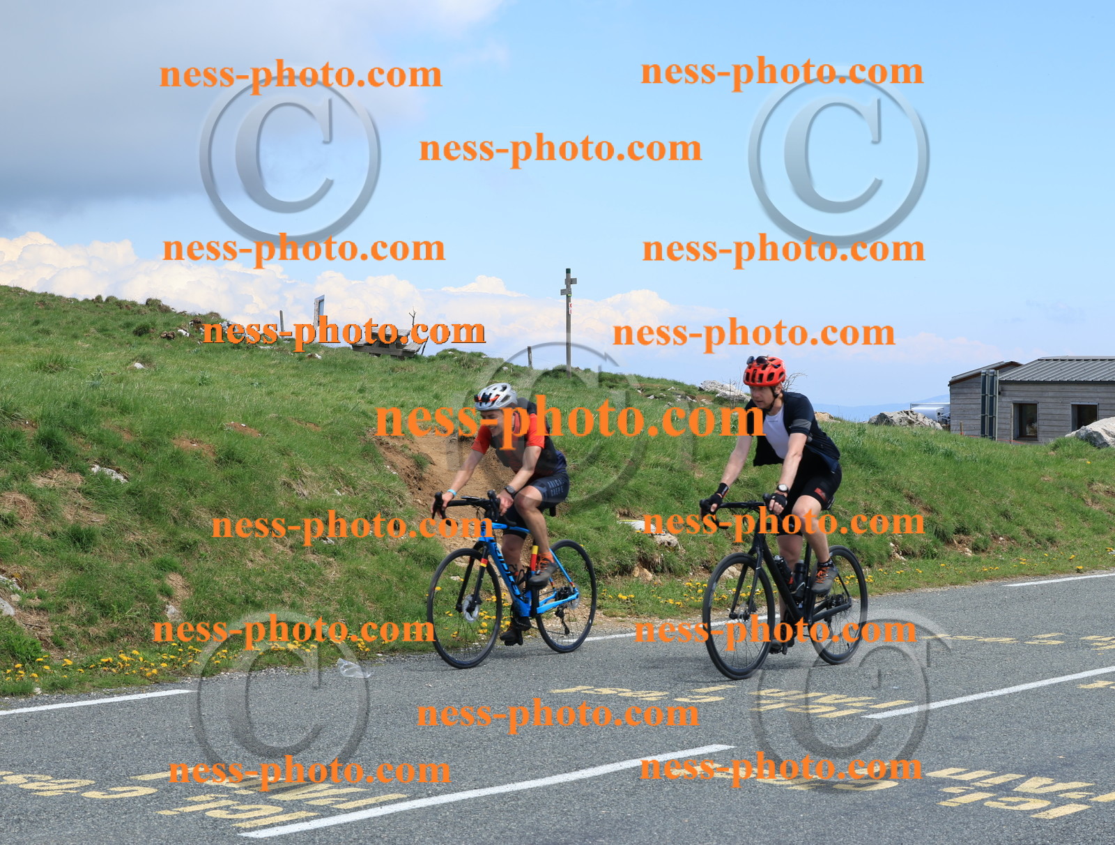 Col du Grand Colombier (2665).JPG