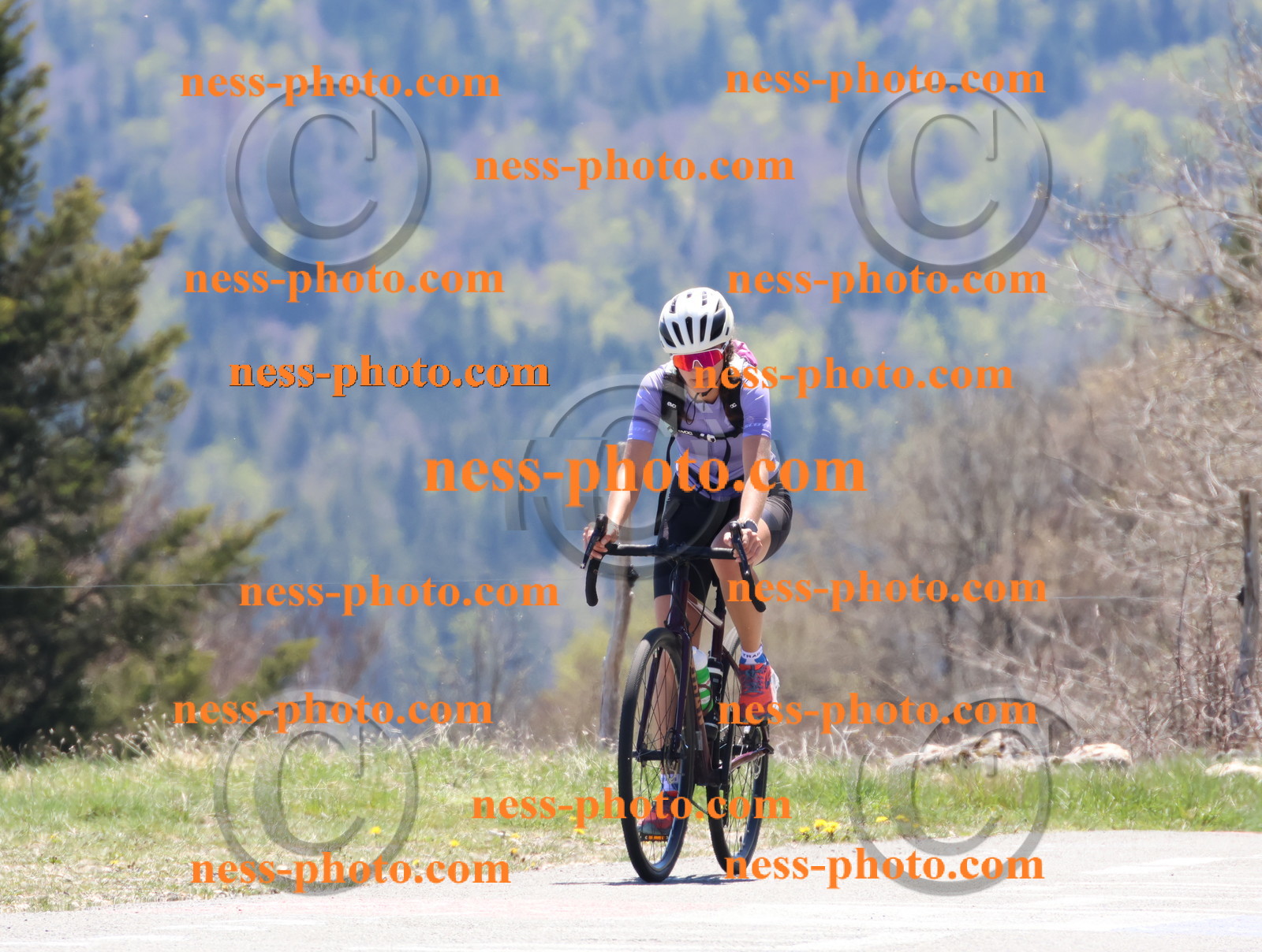 Col du Grand Colombier (571).JPG