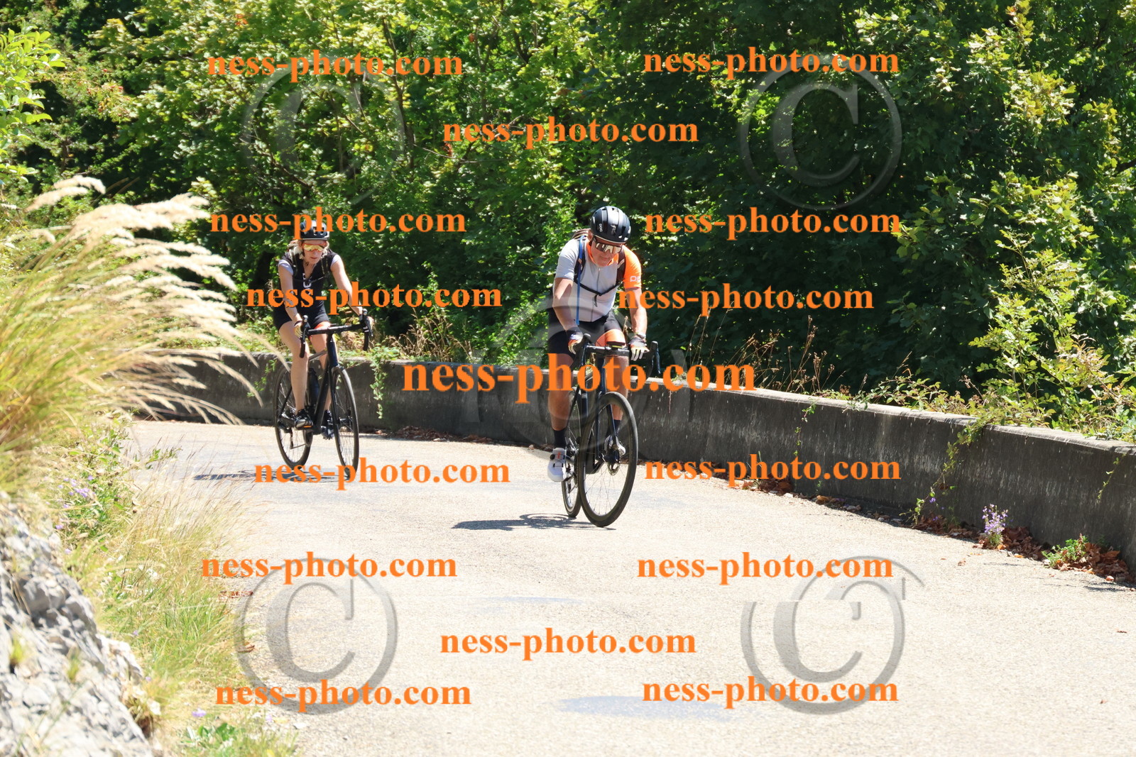 Col du Grand Colombier (240).JPG