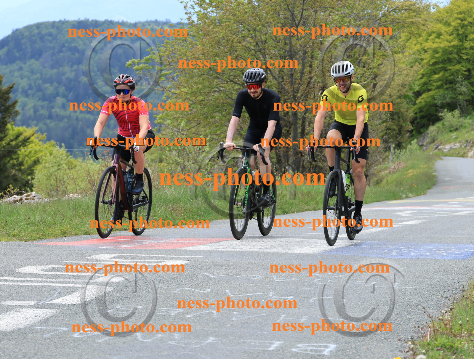 Col du Grand Colombier (448).JPG