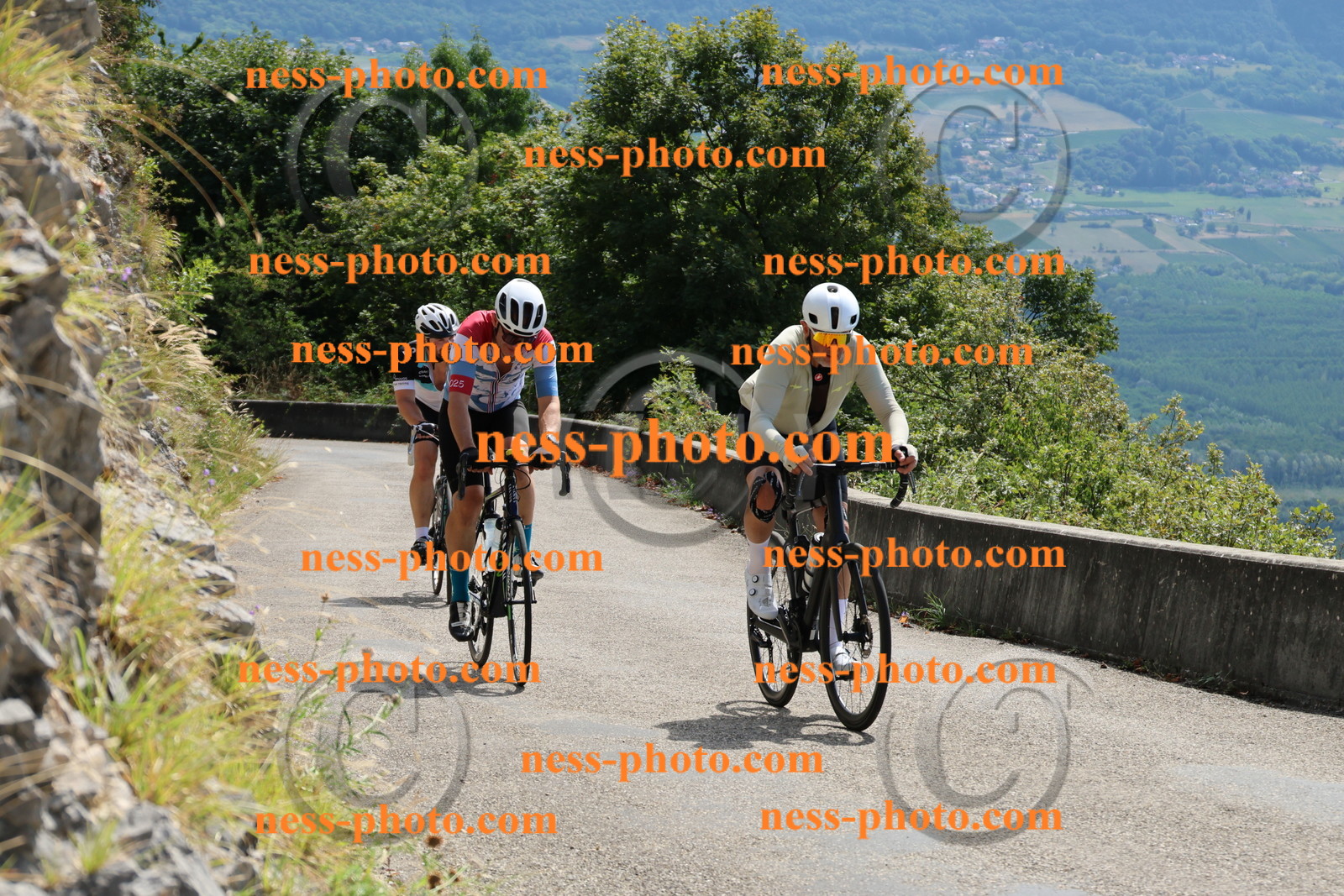 Col du Grand Colombier (267).JPG