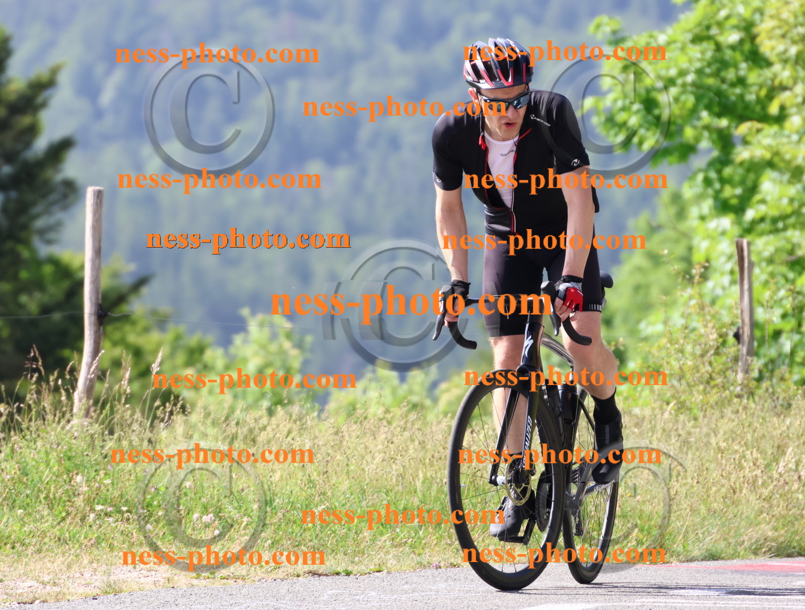 Col du grand Colombier (319).JPG