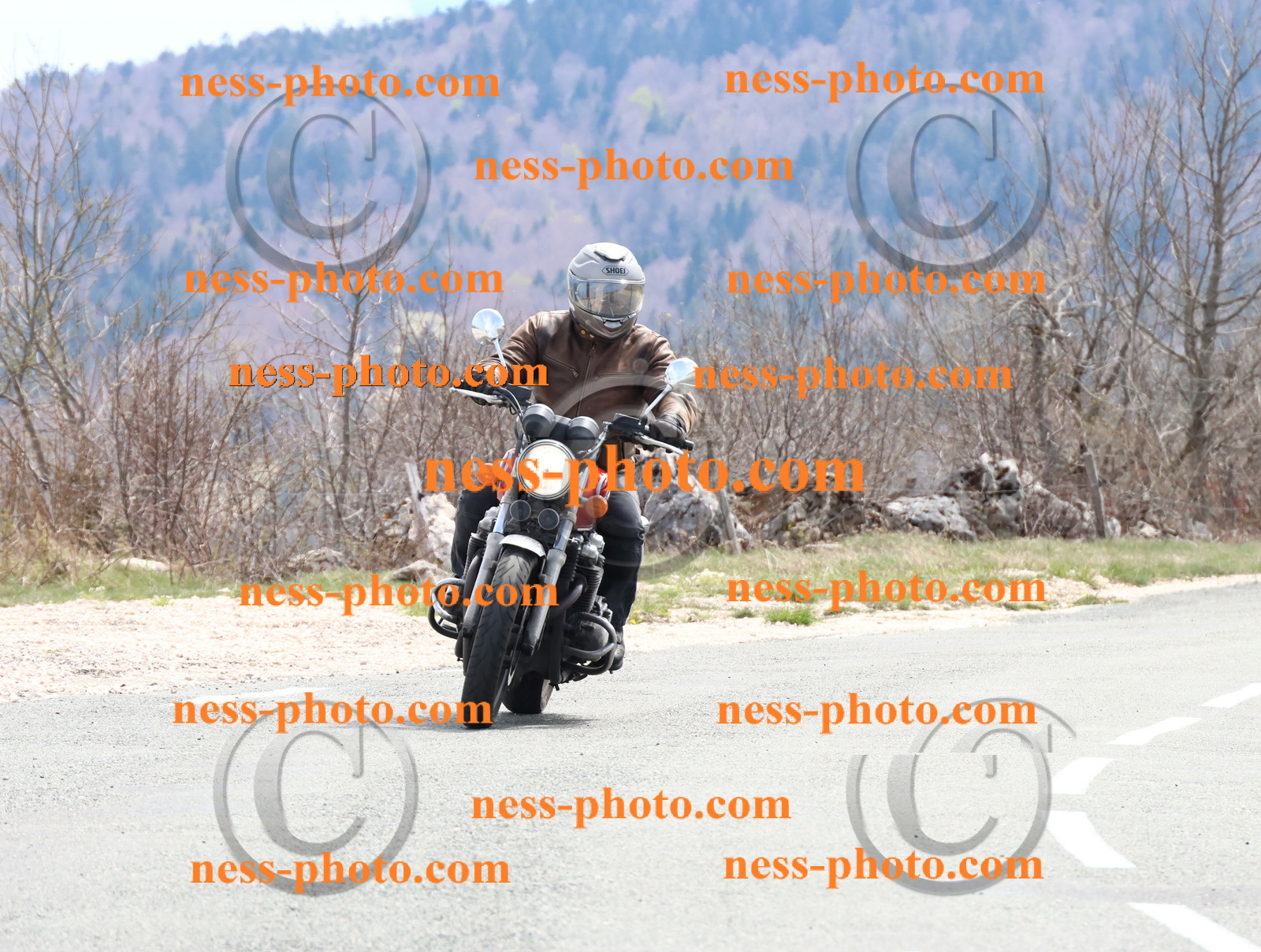 Col  du Grand Colombier (35).JPG