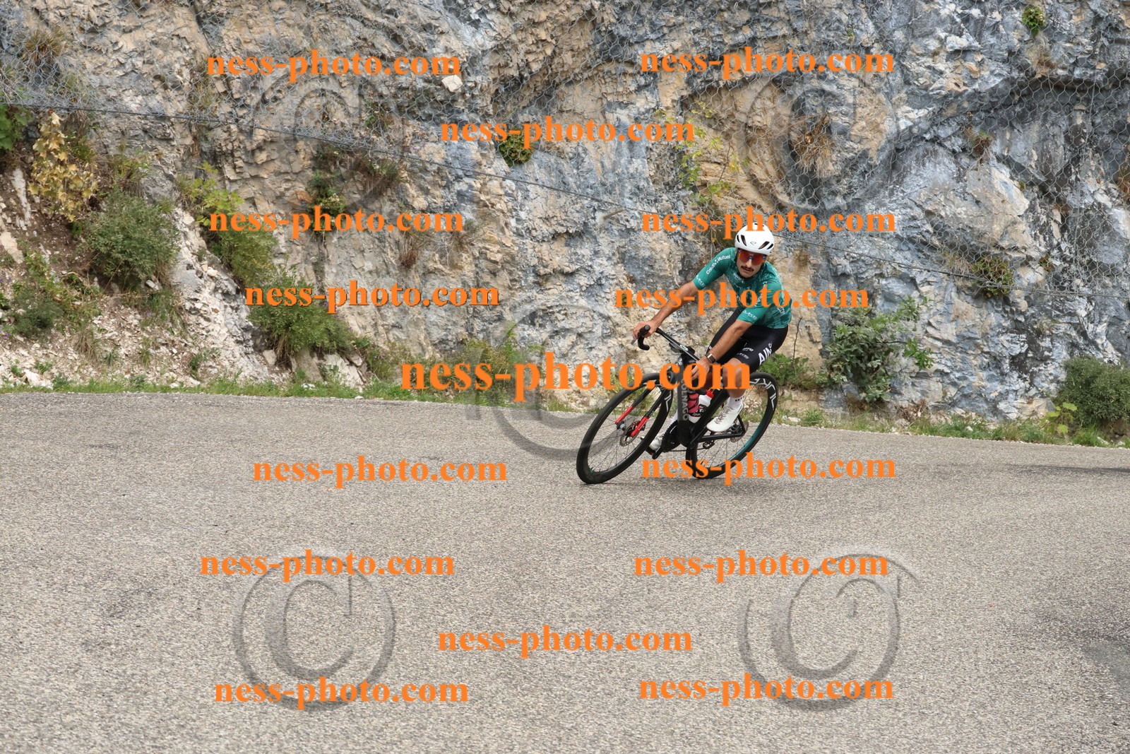 Col du Grand Colombier (346).JPG