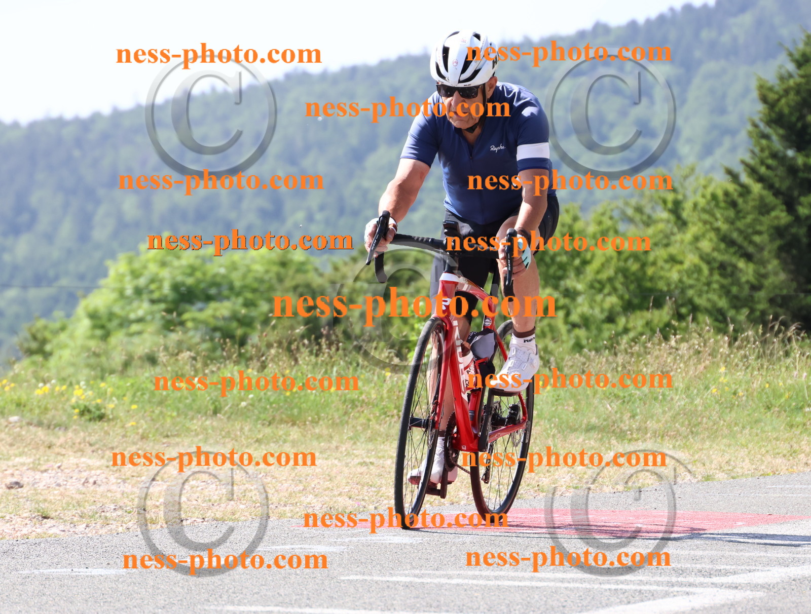 Col du grand Colombier (530).JPG