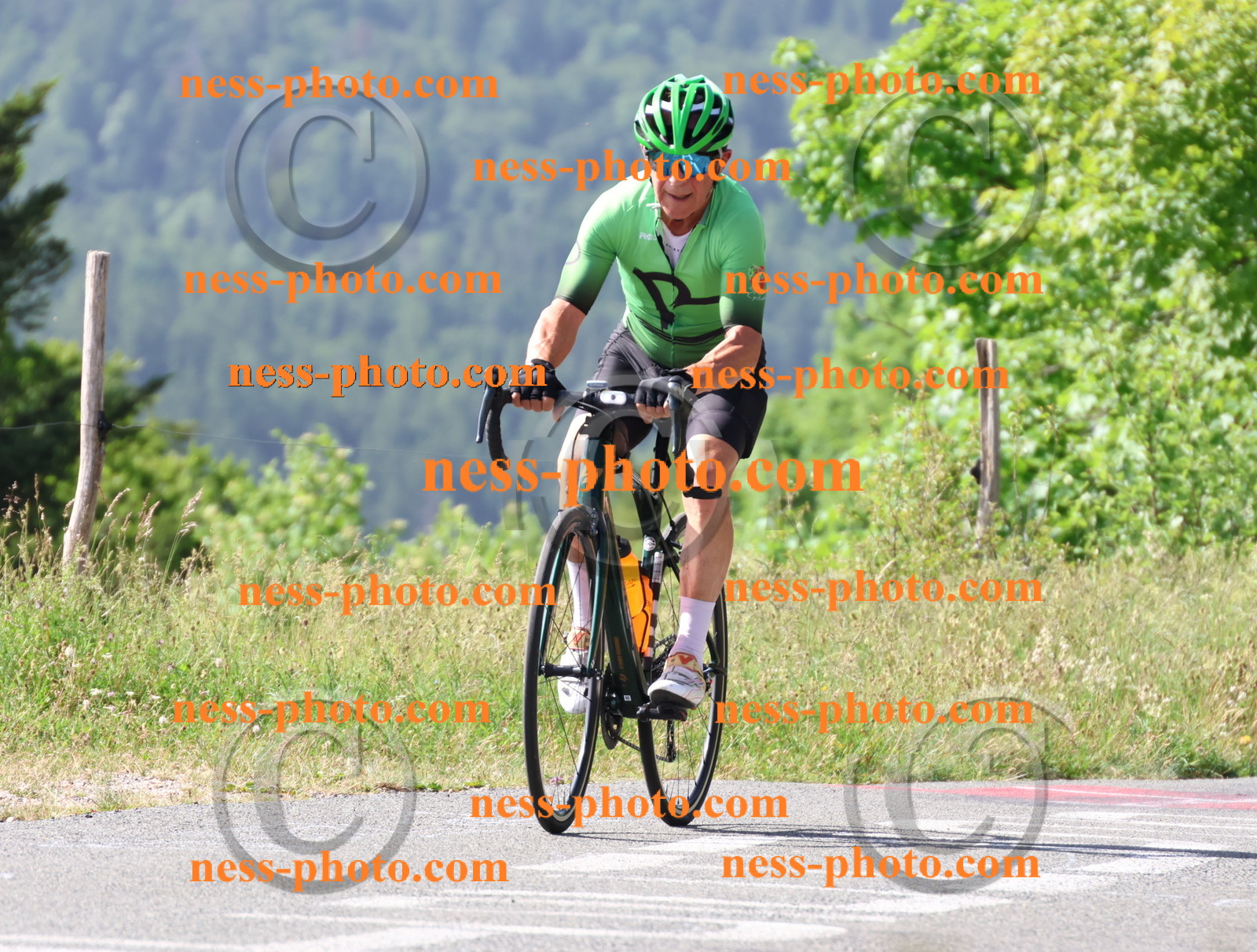 Col du grand Colombier (403).JPG